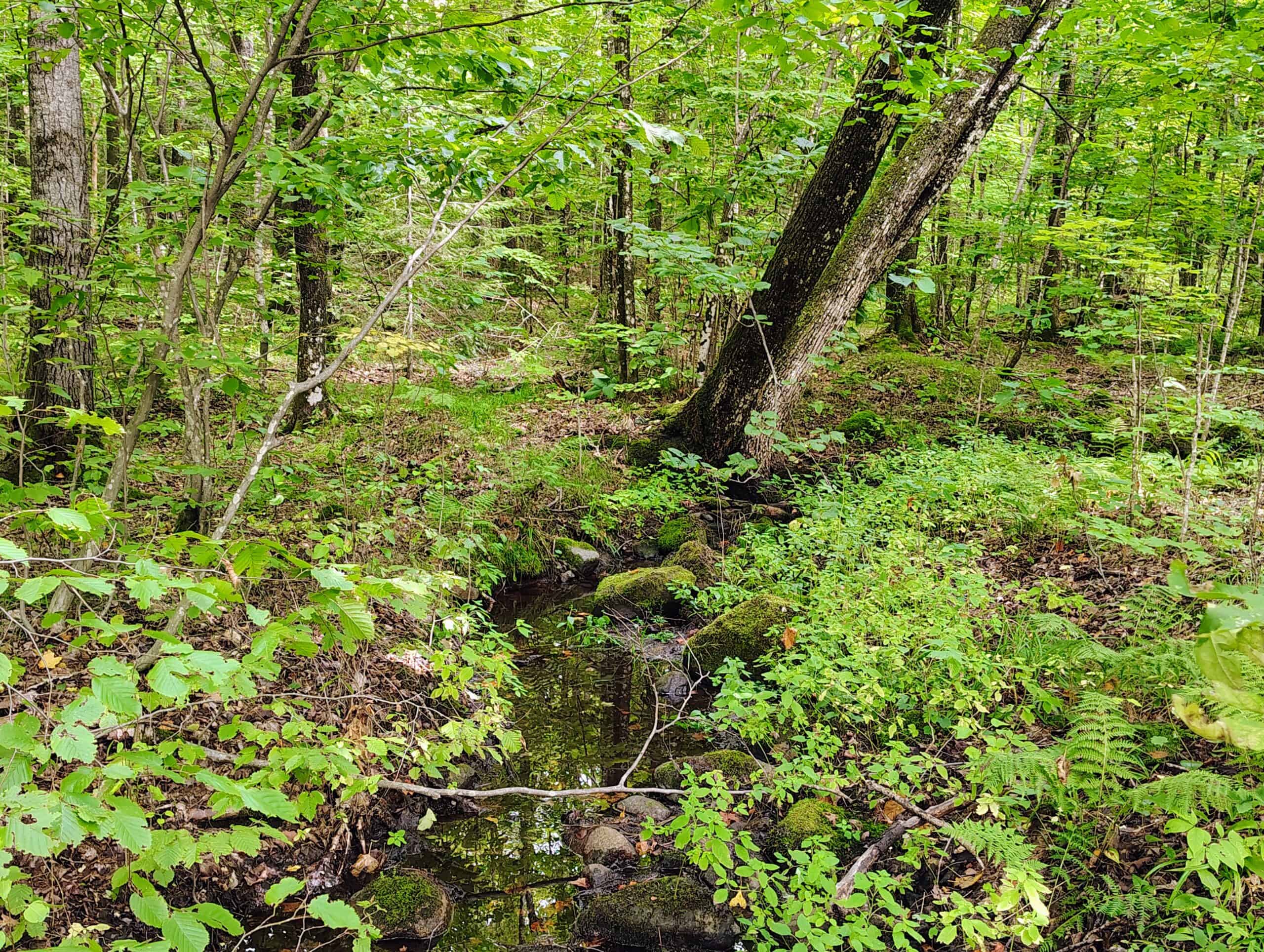 Land for Sale in Ashland County, Wisconsin