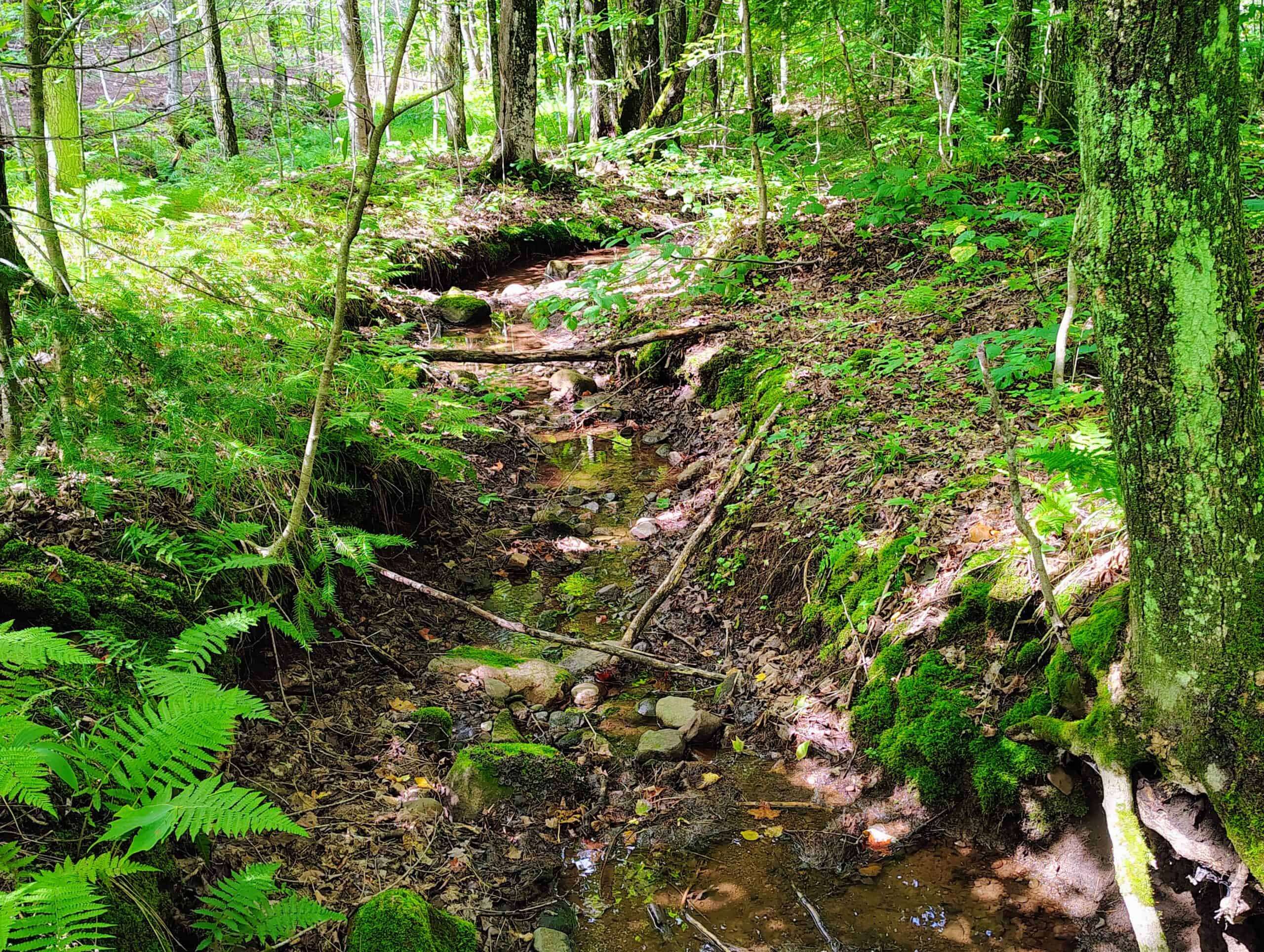 Land for Sale in Ashland County, Wisconsin