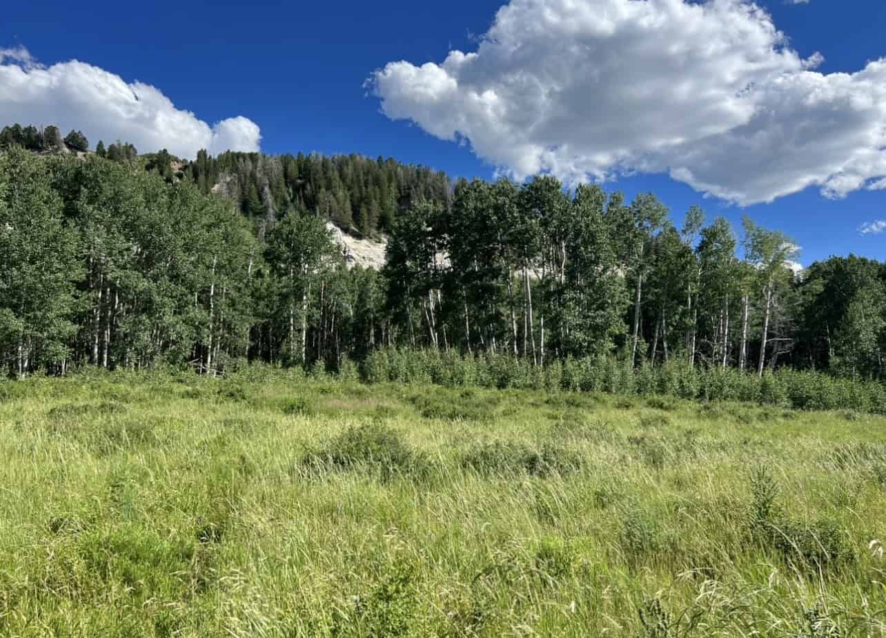 Buckhorn Lakes Ranch–Montrose, CO Elk & Mule Deer Hunting Property for Sale