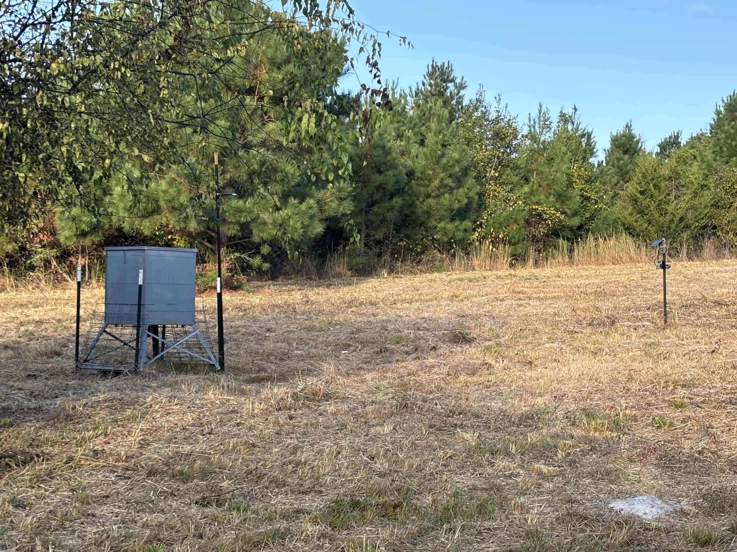 Secluded 12.6 Acres in Linden, Texas Hunting/Homesteading