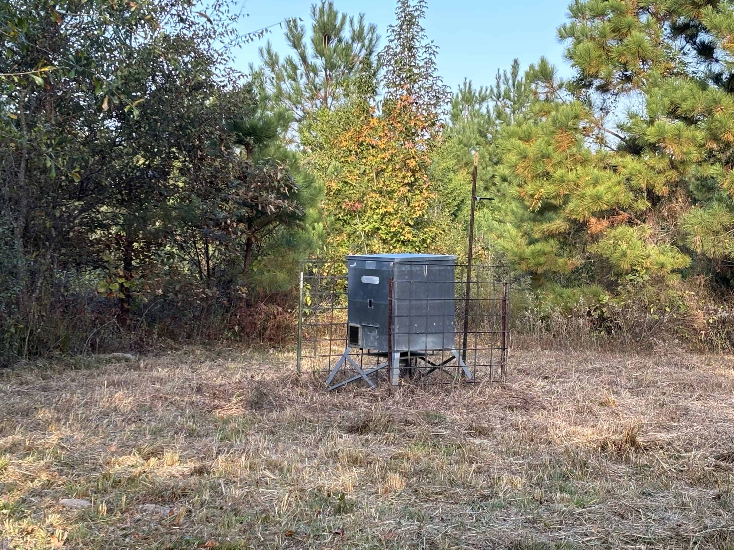 Secluded 12.6 Acres in Linden, Texas Hunting/Homesteading