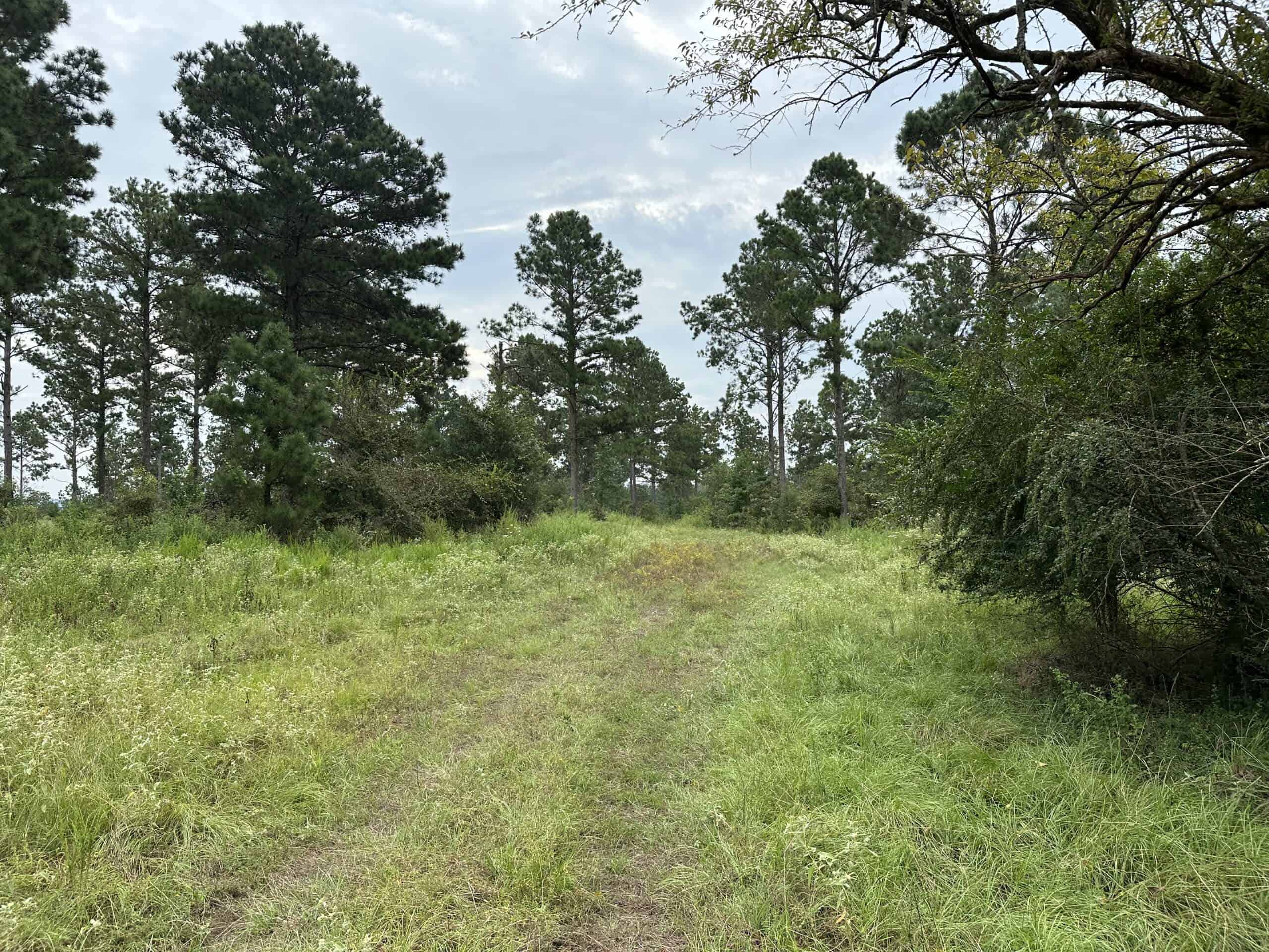 East Texas Hunting/Recreational/Timber Tract For Sale