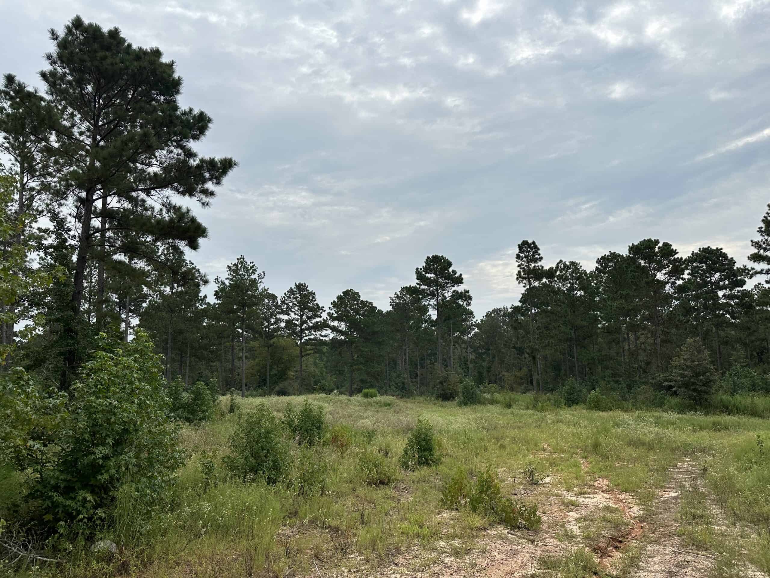 East Texas Hunting/Recreational/Timber Tract For Sale
