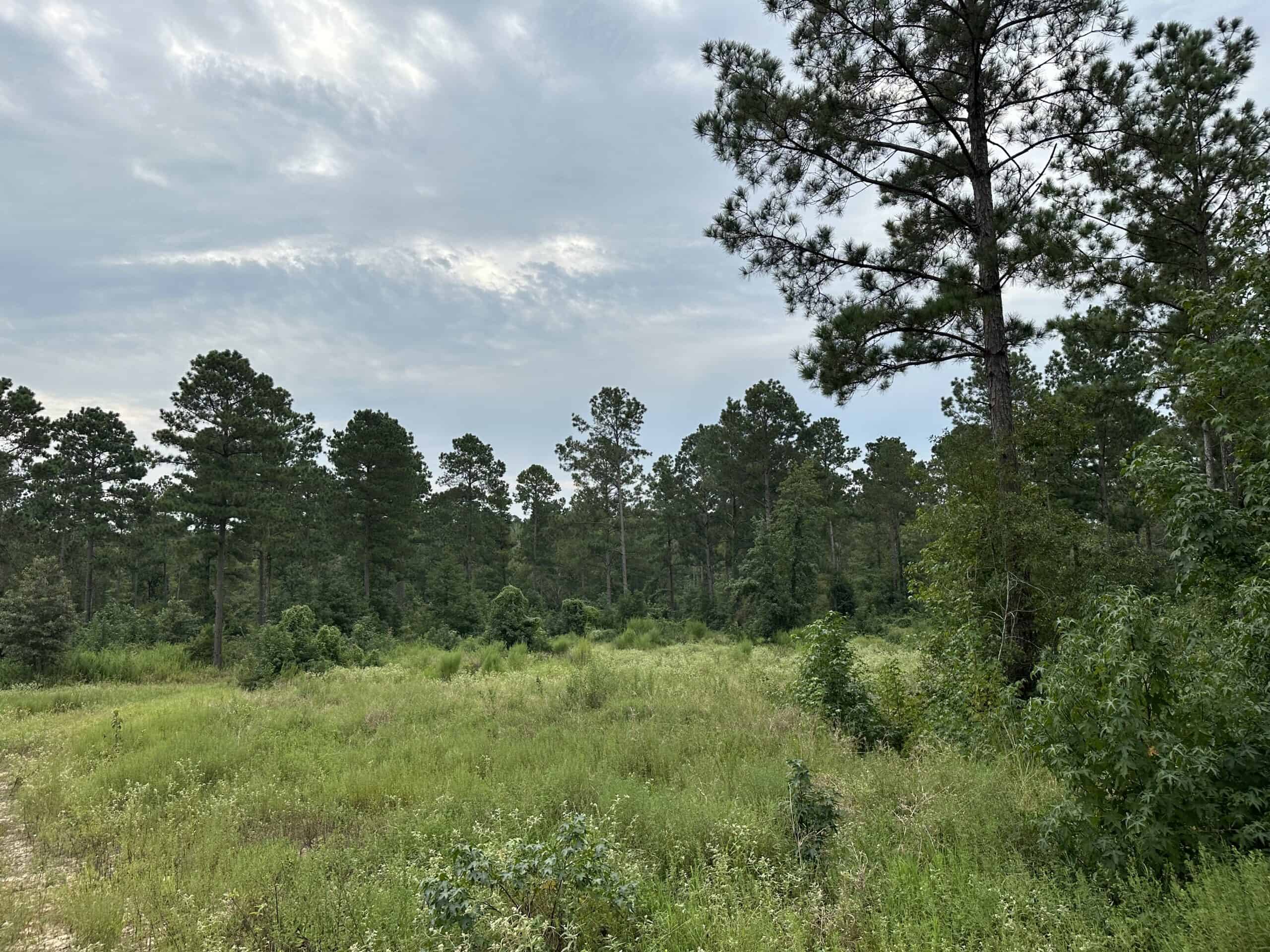 East Texas Hunting/Recreational/Timber Tract For Sale