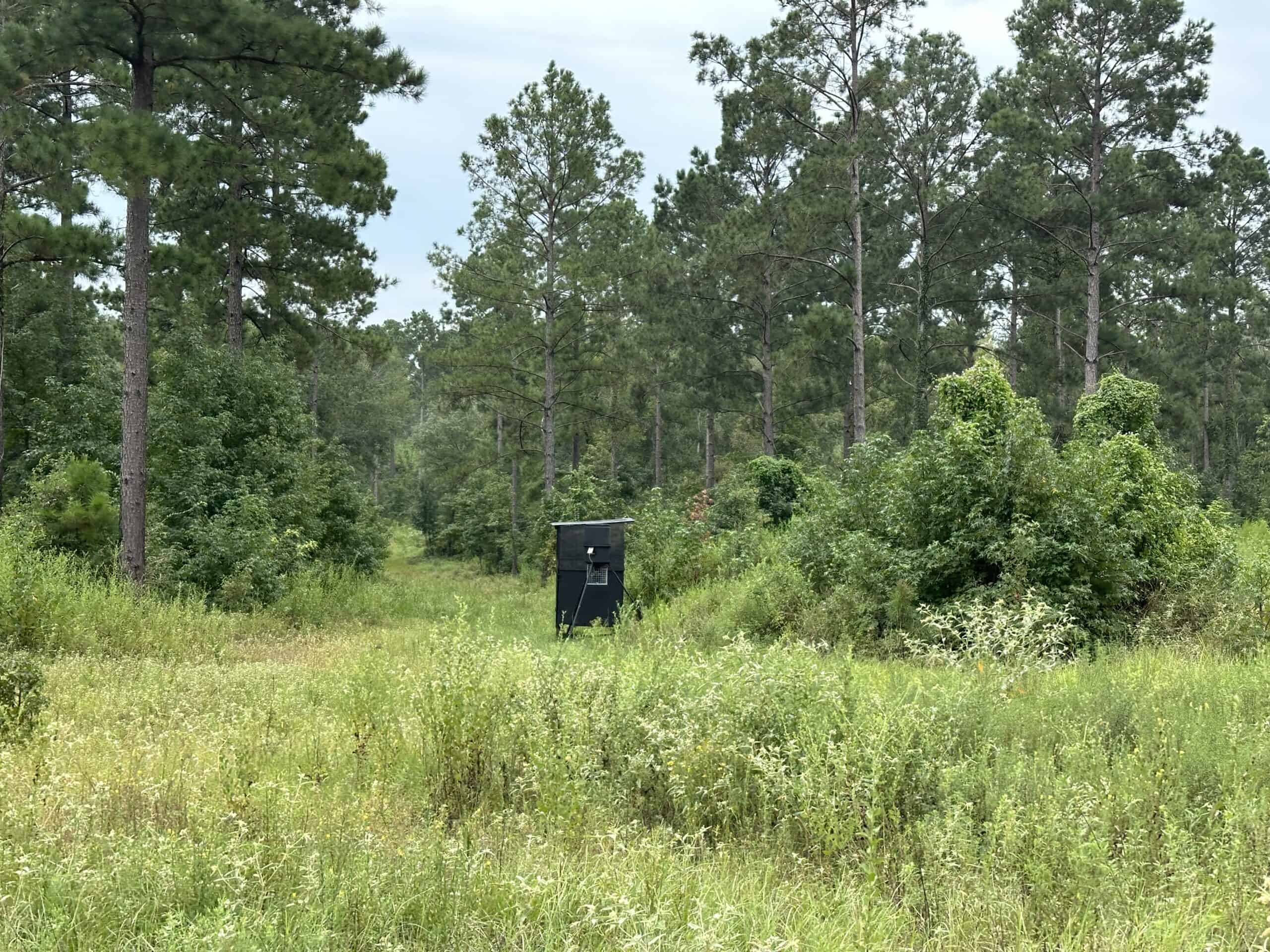 East Texas Hunting/Recreational/Timber Tract For Sale