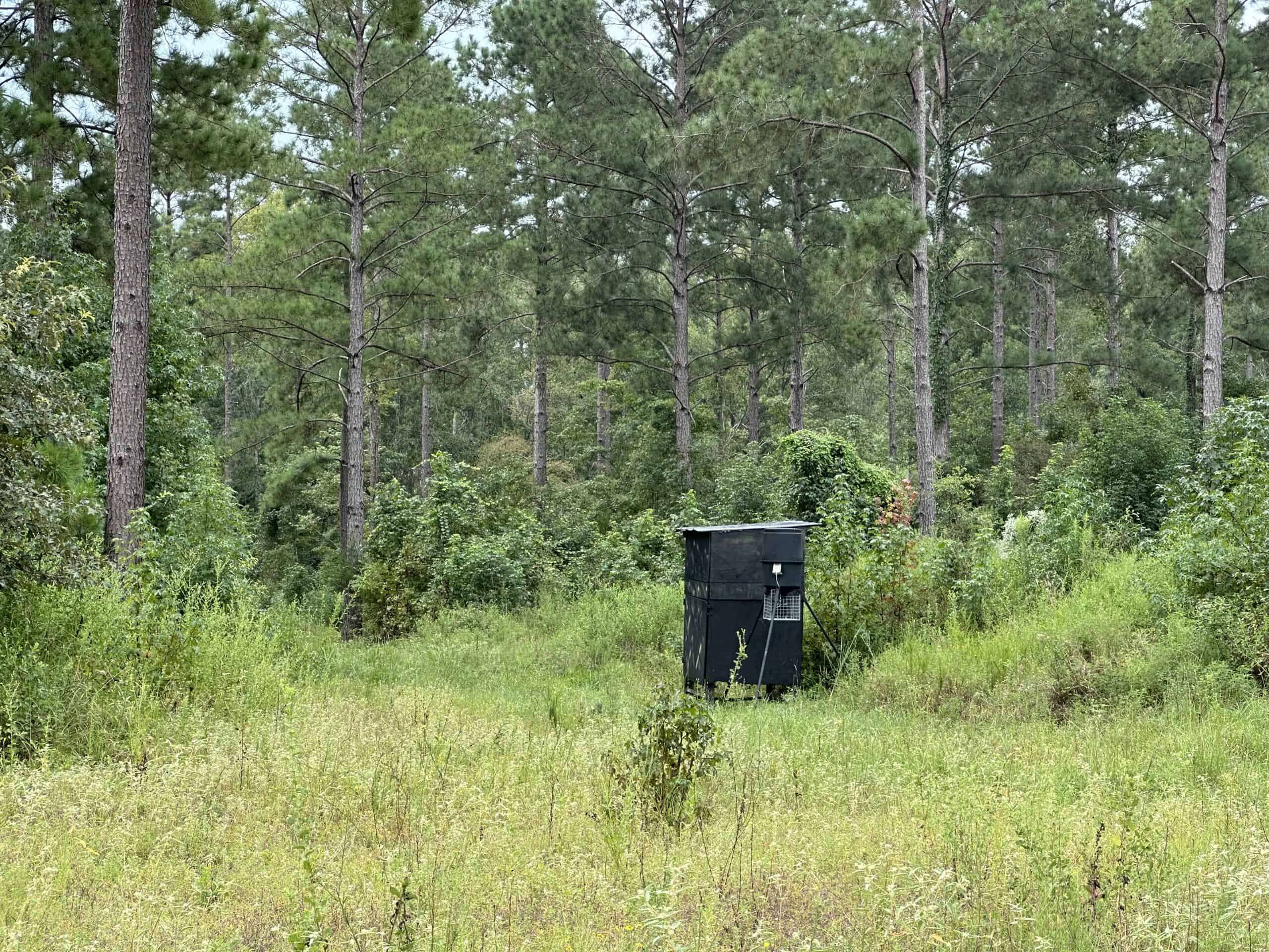 East Texas Hunting/Recreational/Timber Tract For Sale