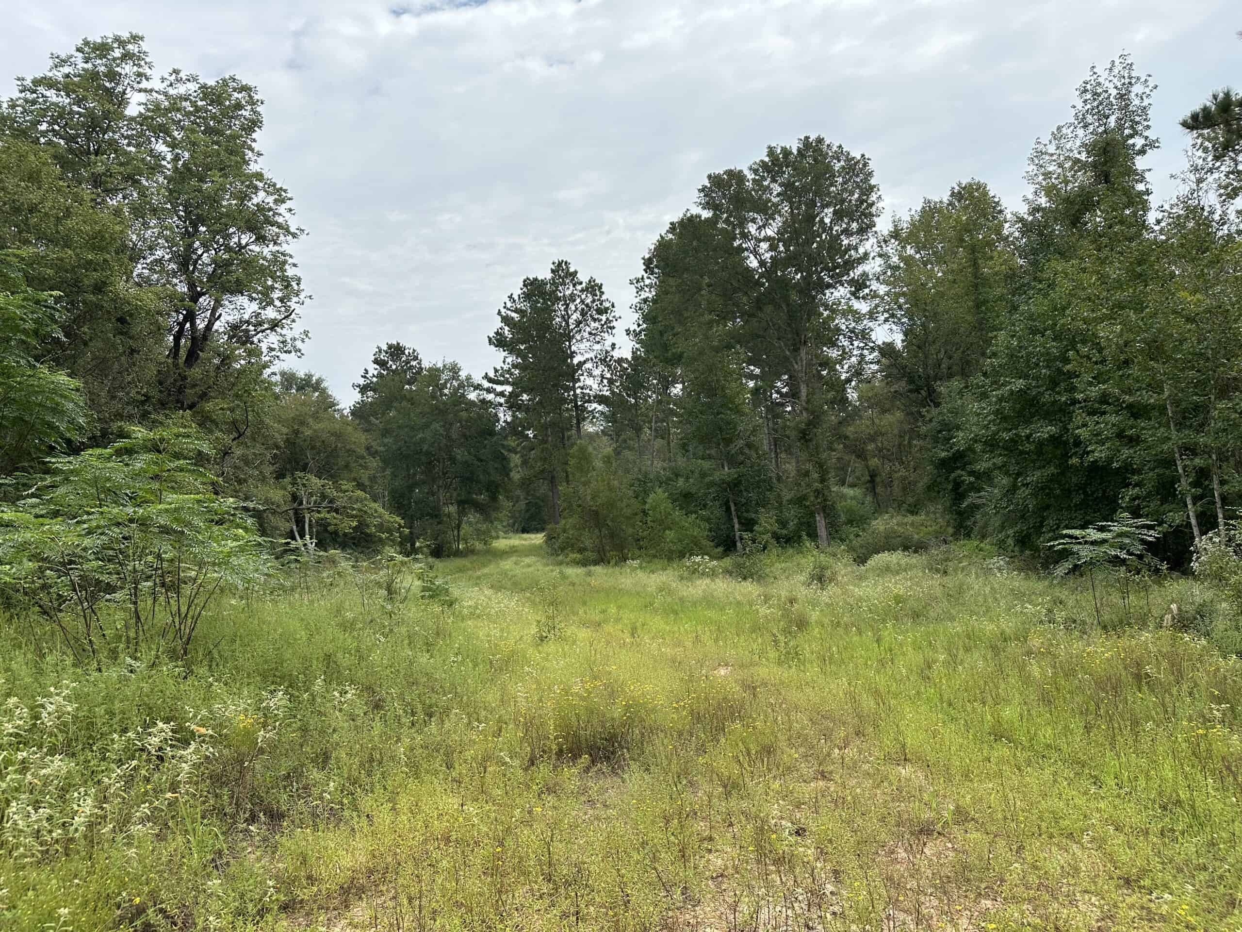East Texas Hunting/Recreational/Timber Tract For Sale