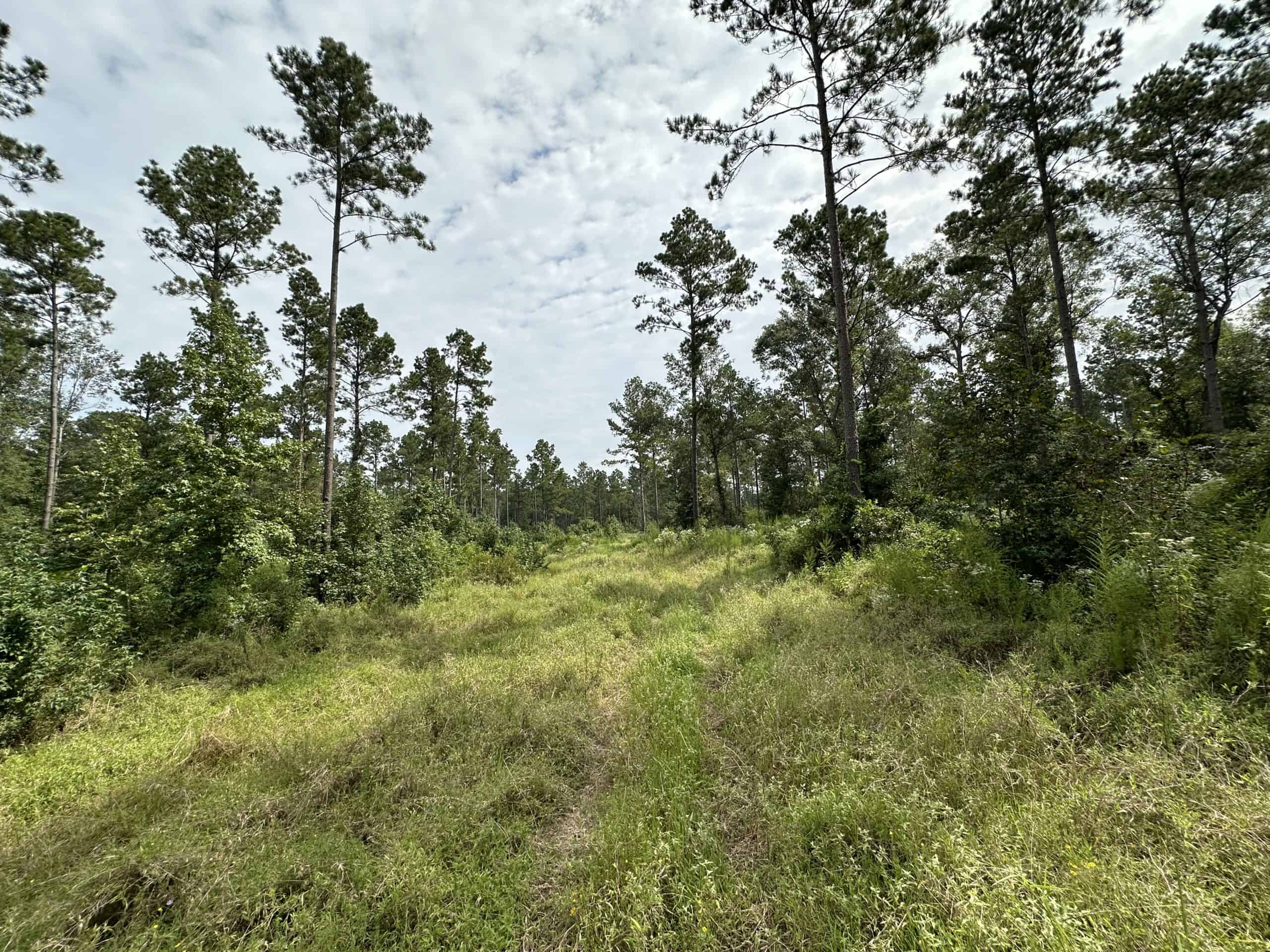 East Texas Hunting/Recreational/Timber Tract For Sale