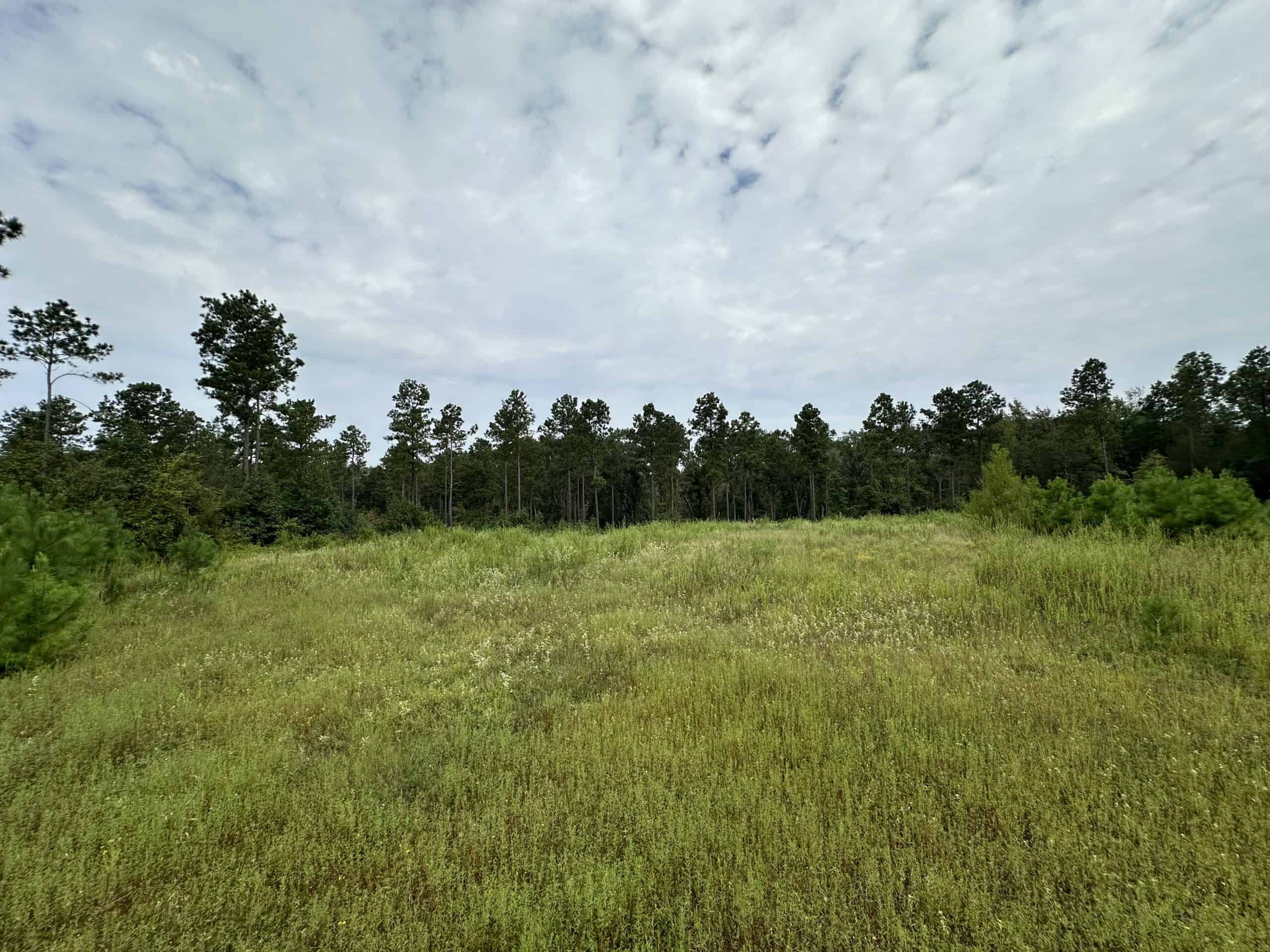 East Texas Hunting/Recreational/Timber Tract For Sale