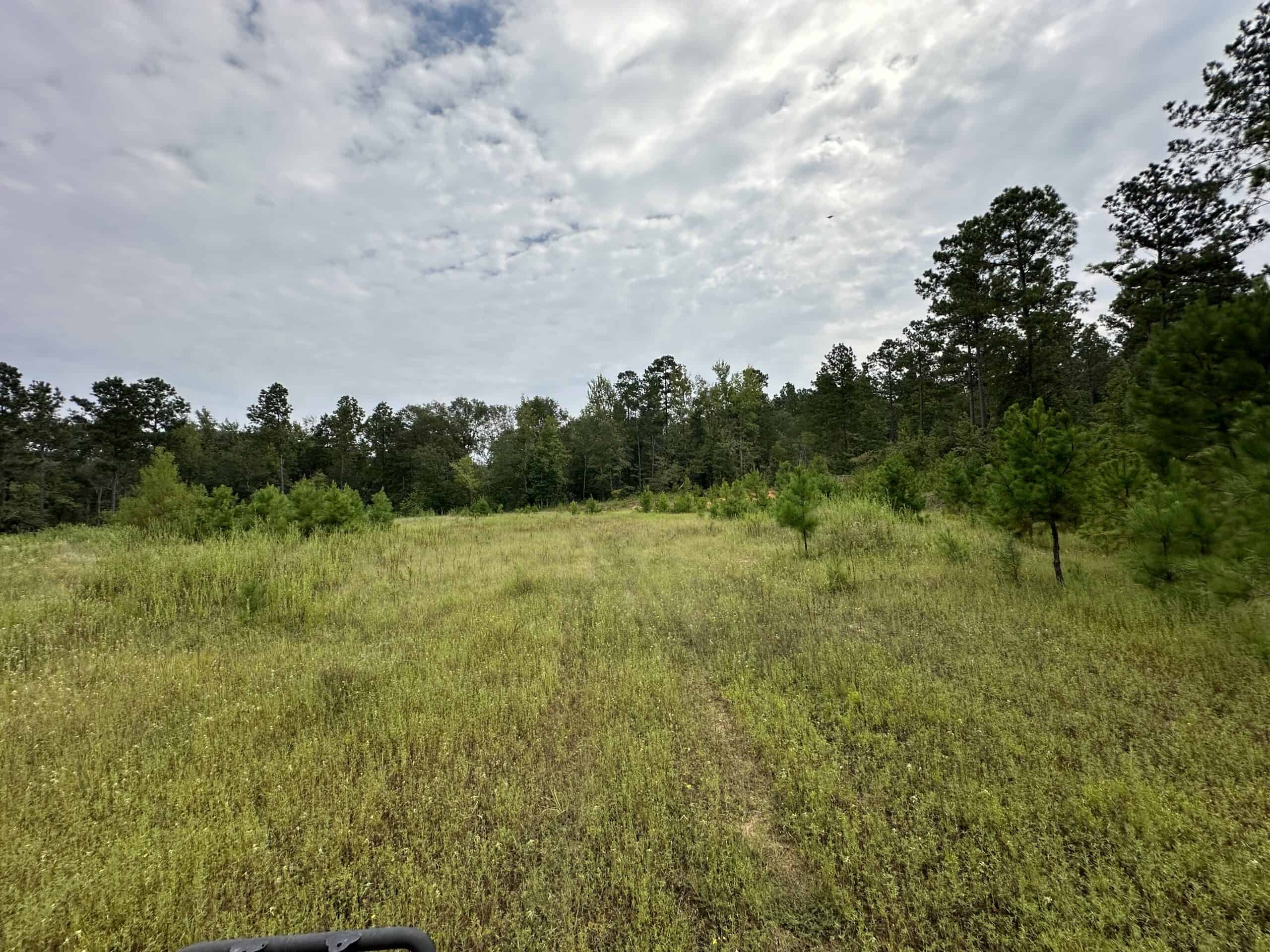 East Texas Hunting/Recreational/Timber Tract For Sale