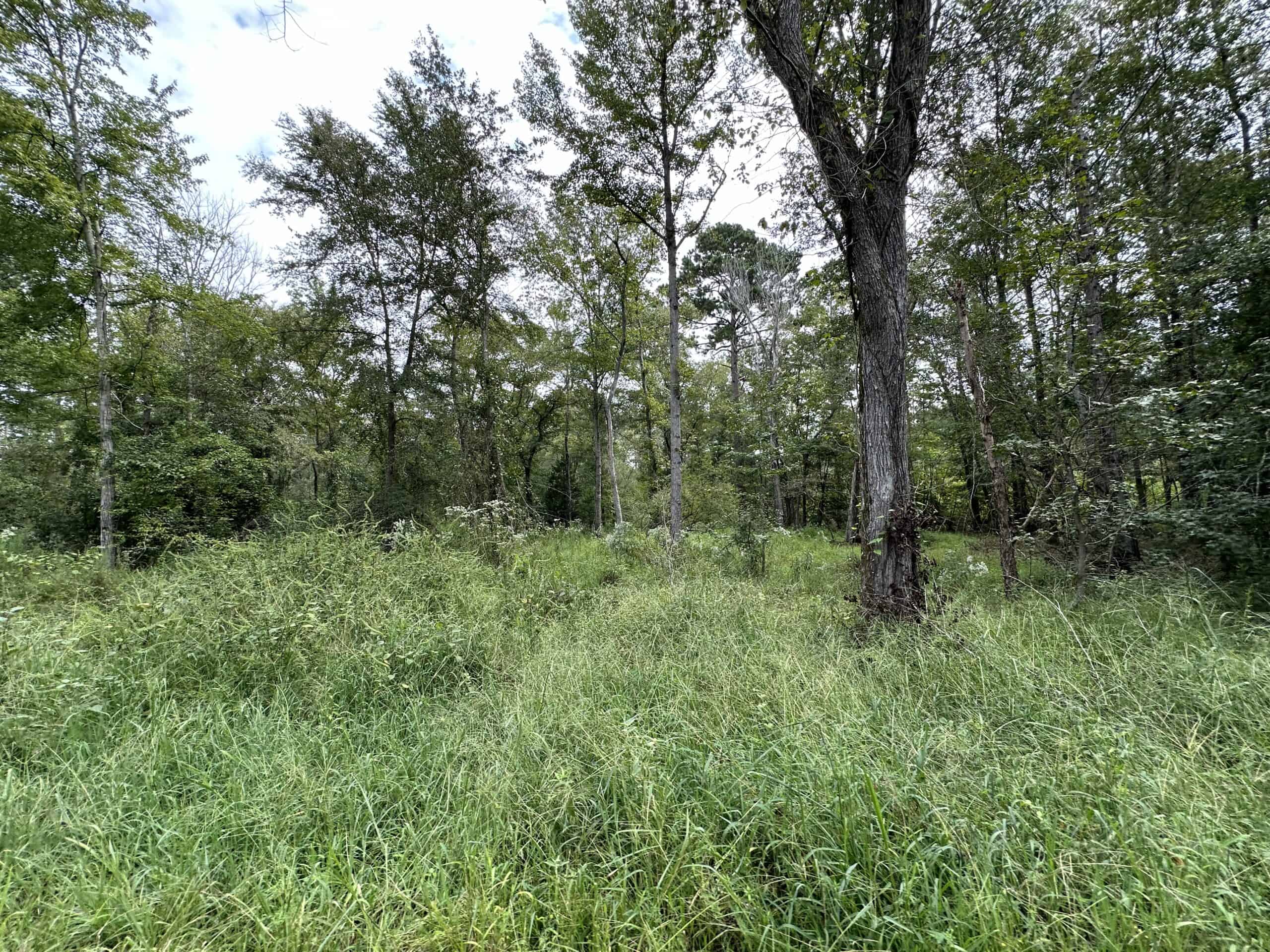 East Texas Hunting/Recreational/Timber Tract For Sale
