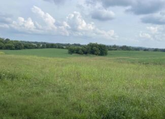 Beautiful Custom Built Brick Home w/ Walk-out Basement, Shop, Barn & 141 Acres (Cropland & Hunting Land) in 3 Tracts