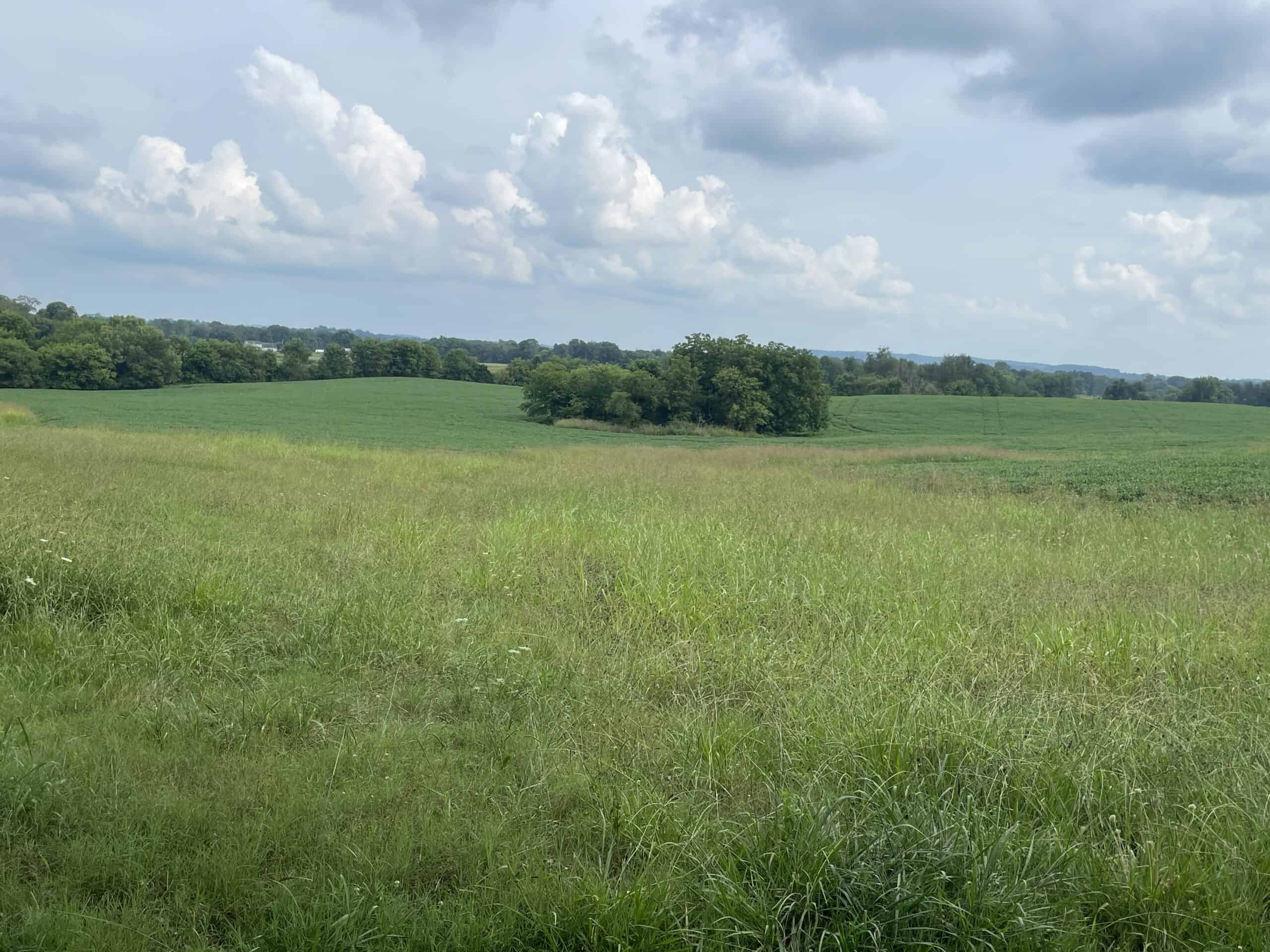 Beautiful Custom Built Brick Home w/ Walk-out Basement, Shop, Barn & 141 Acres (Cropland & Hunting Land) in 3 Tracts