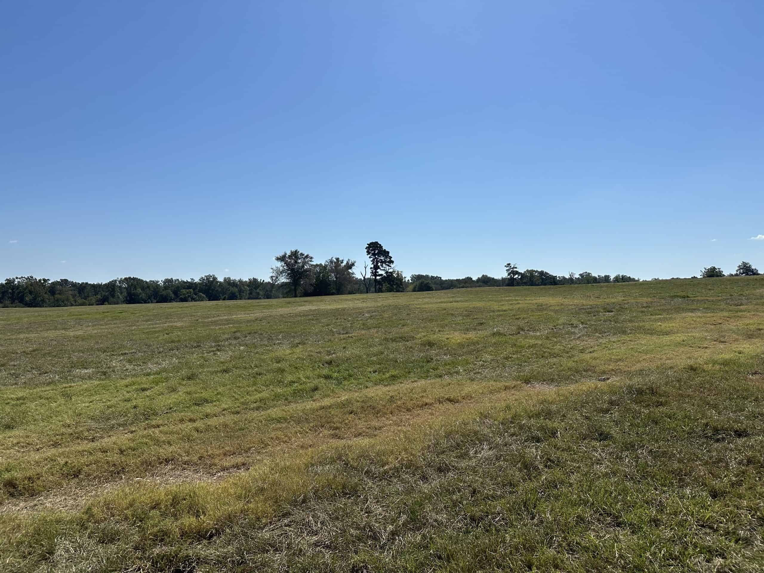 East Texas Ranch For Sale
