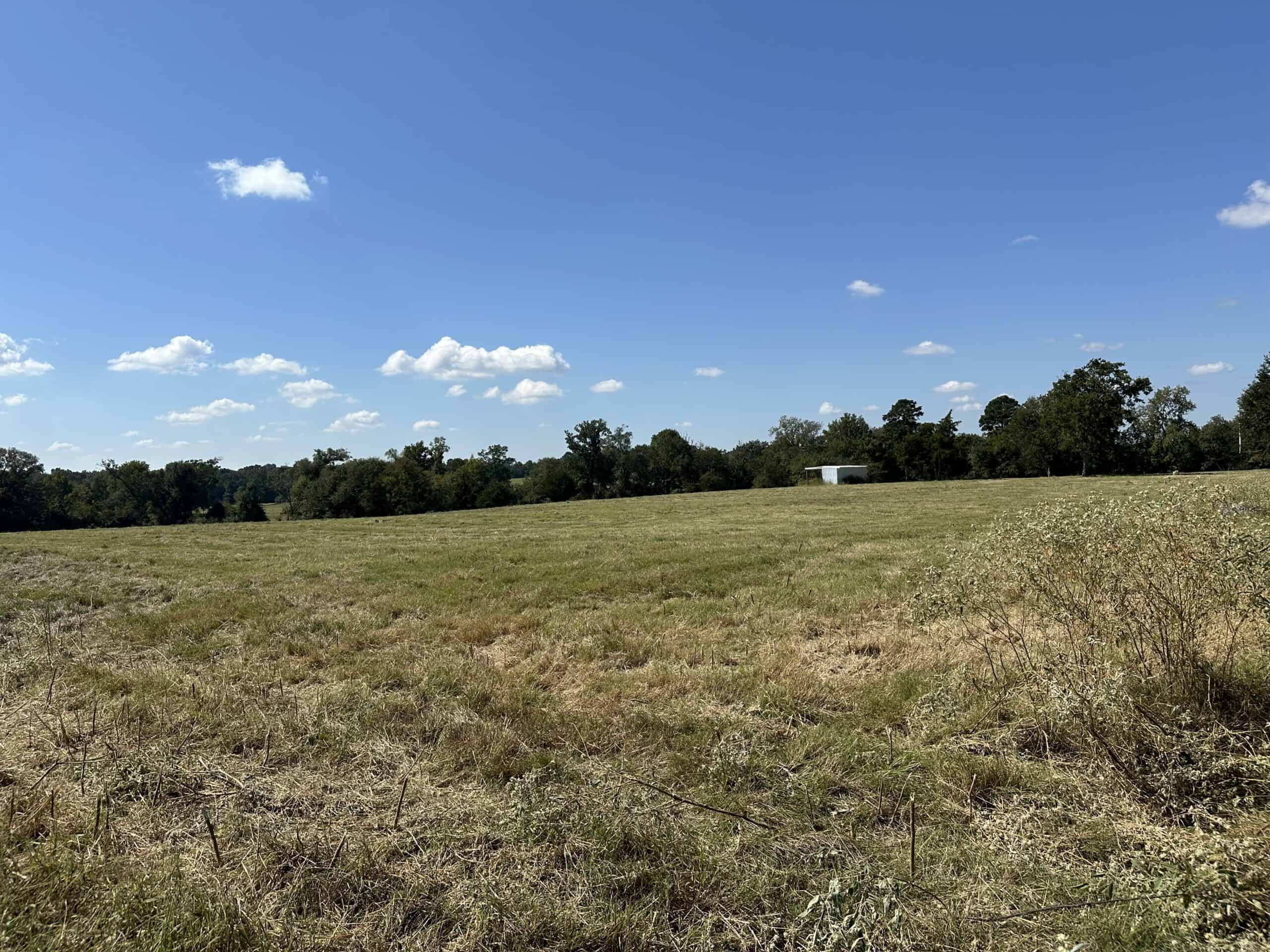 East Texas Ranch For Sale