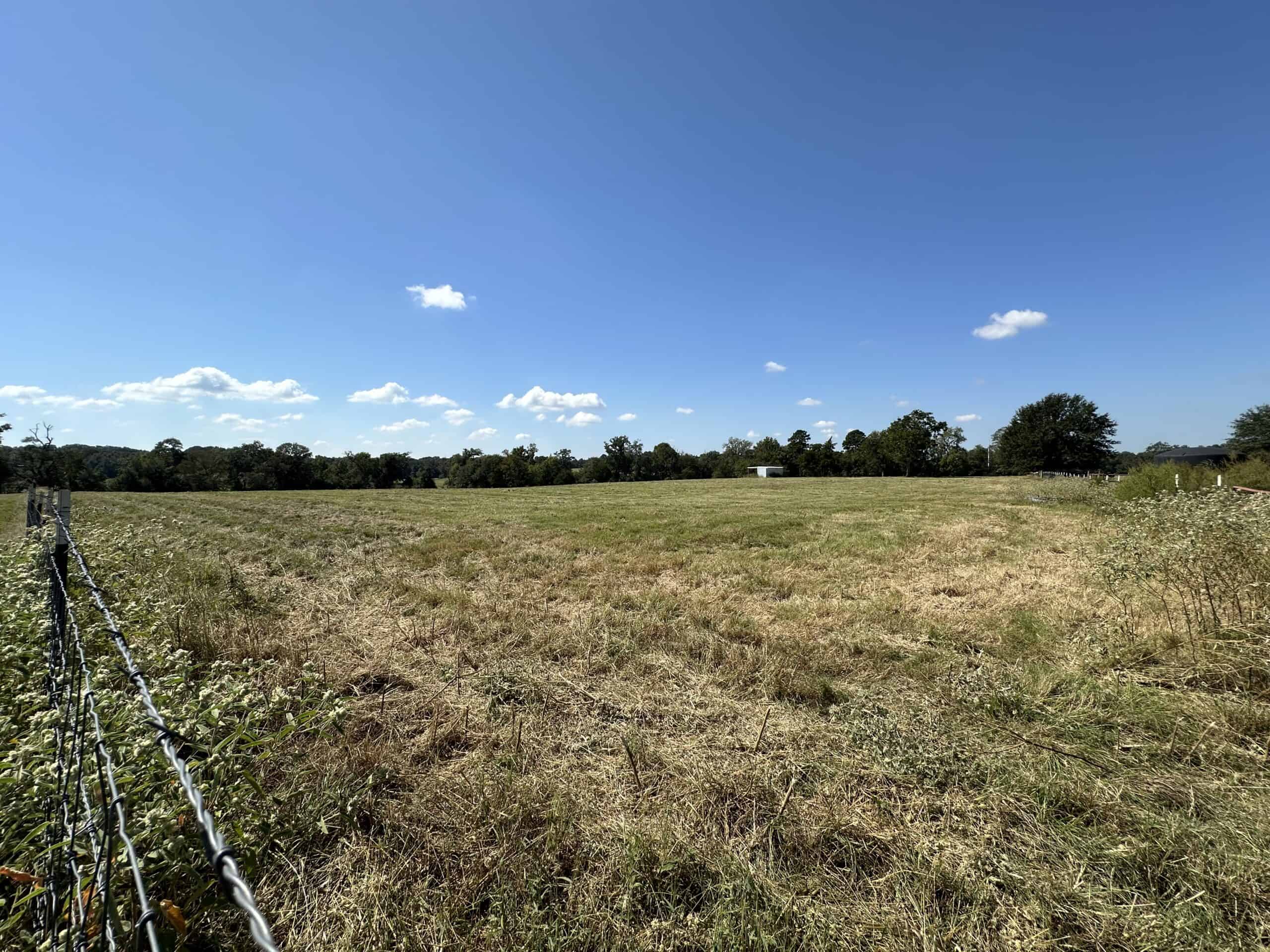 East Texas Ranch For Sale