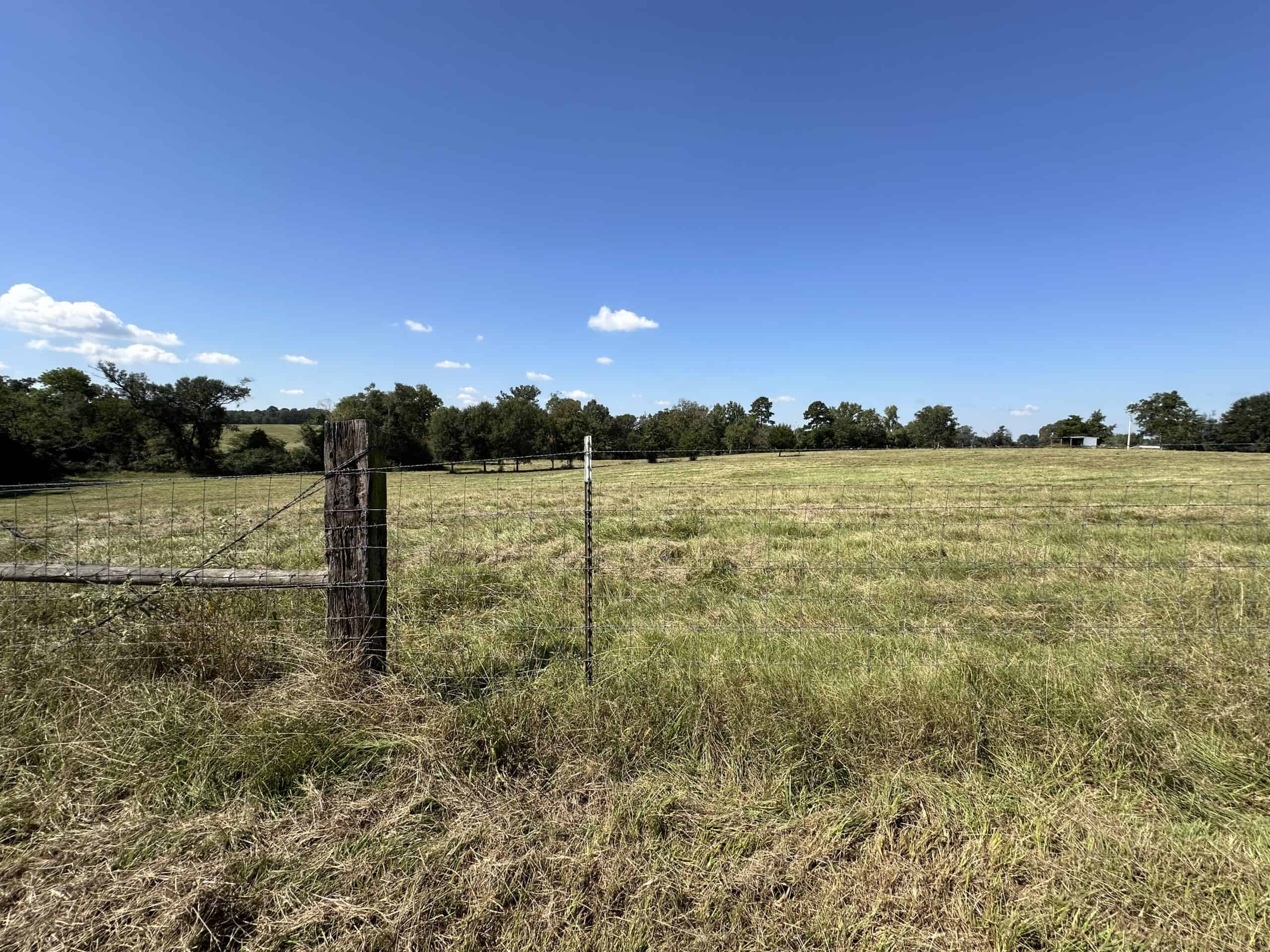 East Texas Ranch For Sale