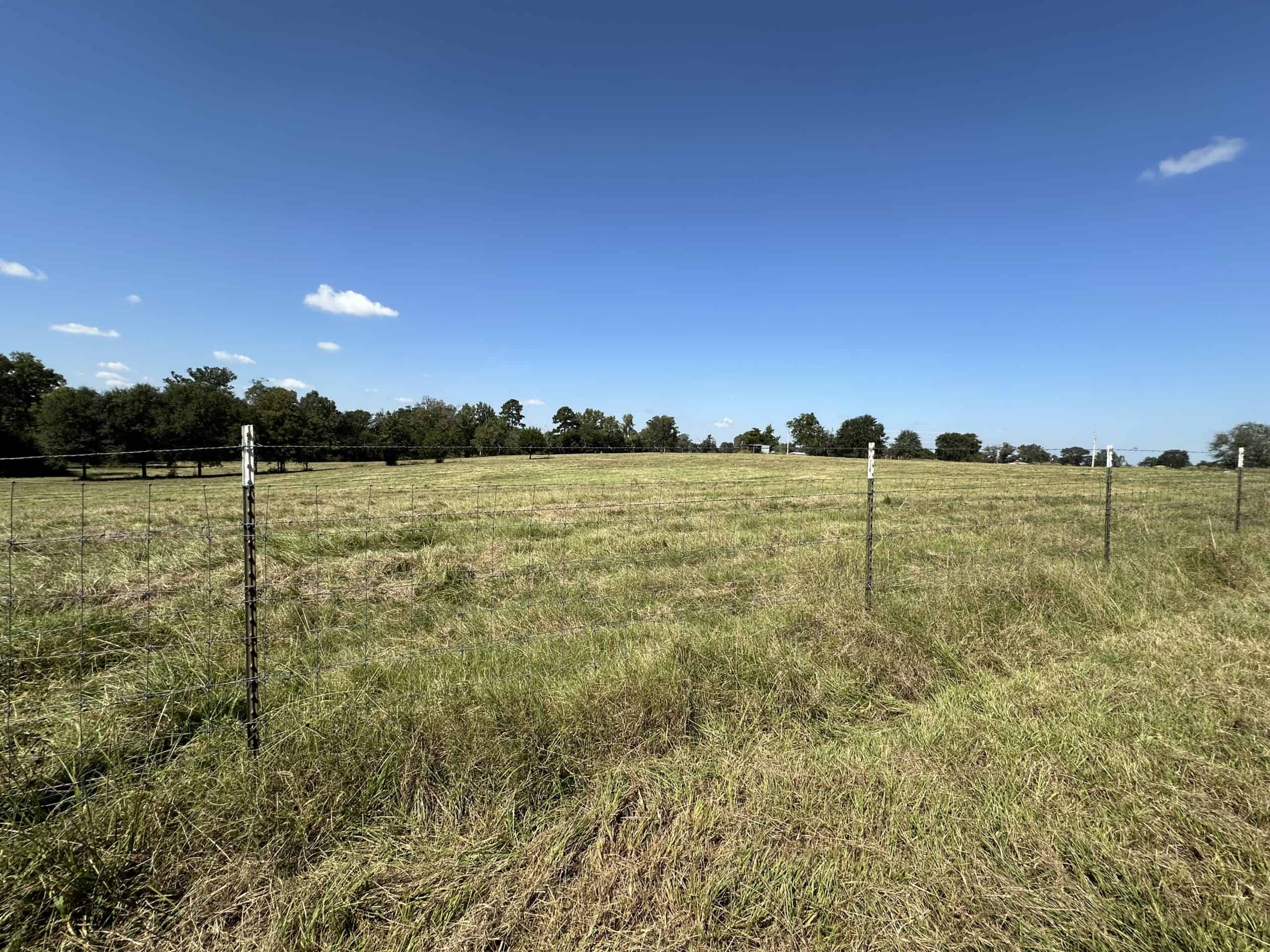 East Texas Ranch For Sale