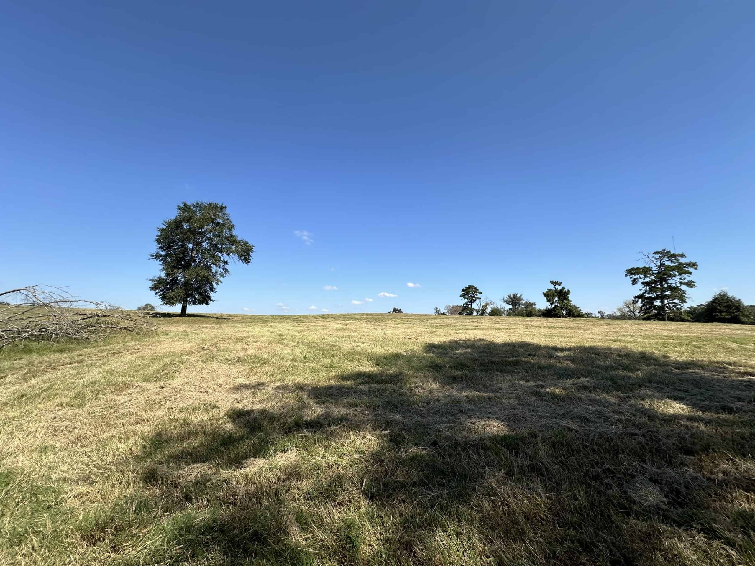 East Texas Ranch For Sale