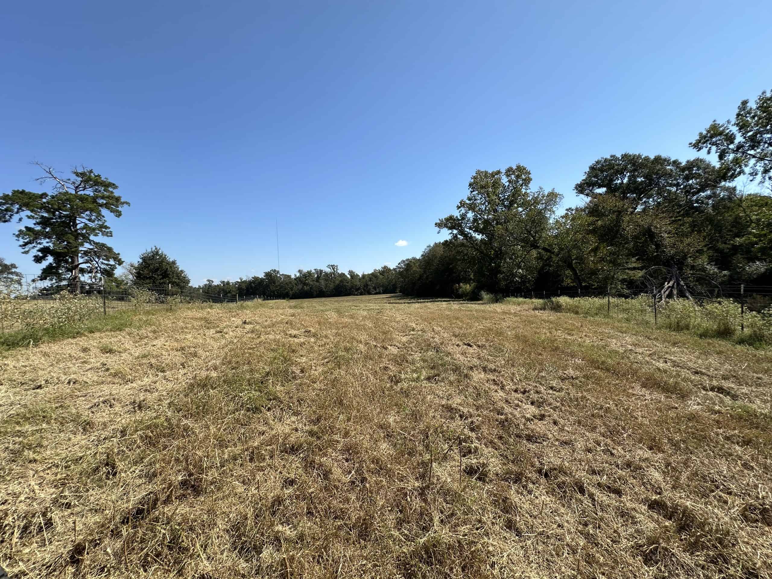 East Texas Ranch For Sale
