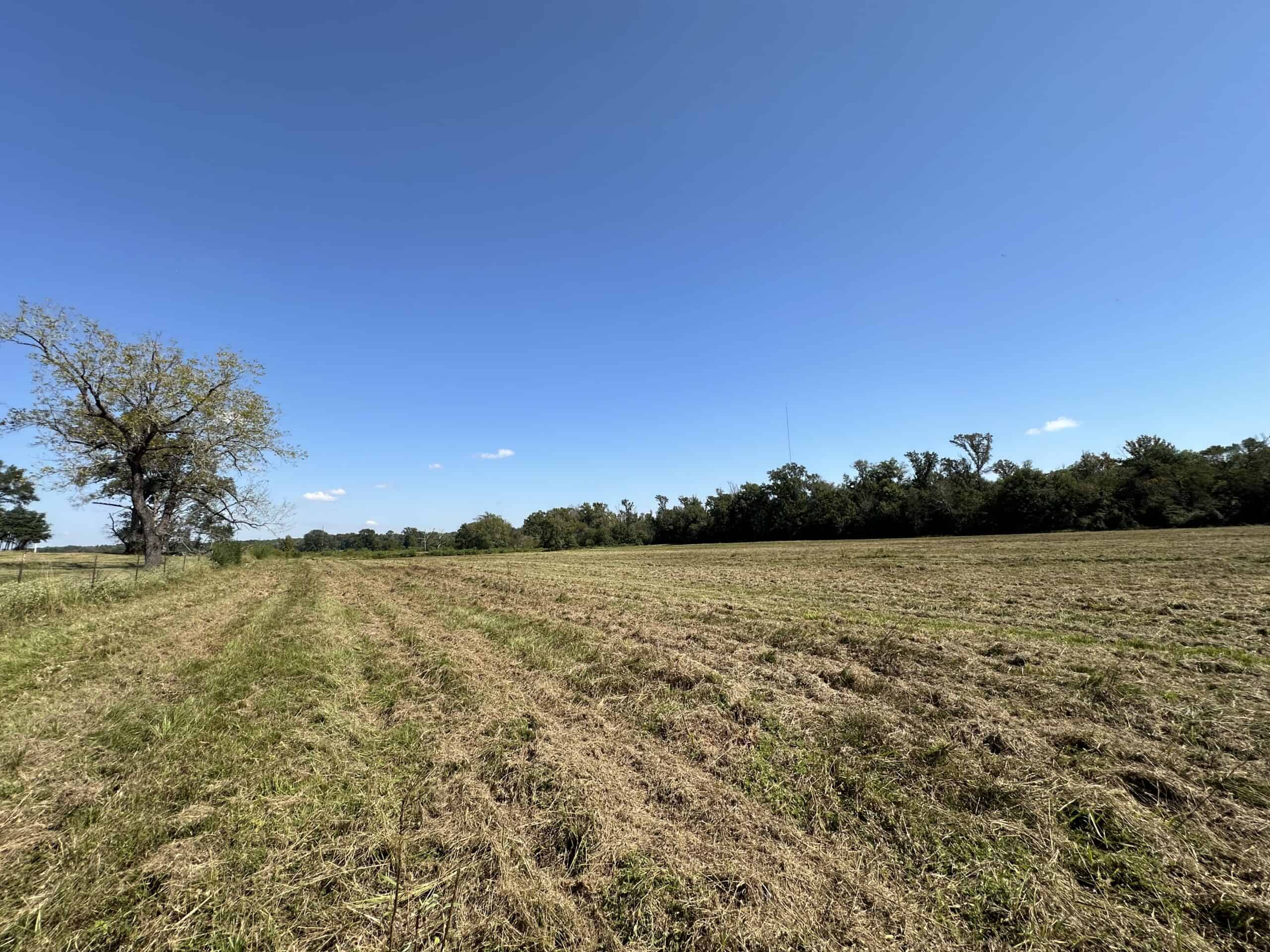 East Texas Ranch For Sale