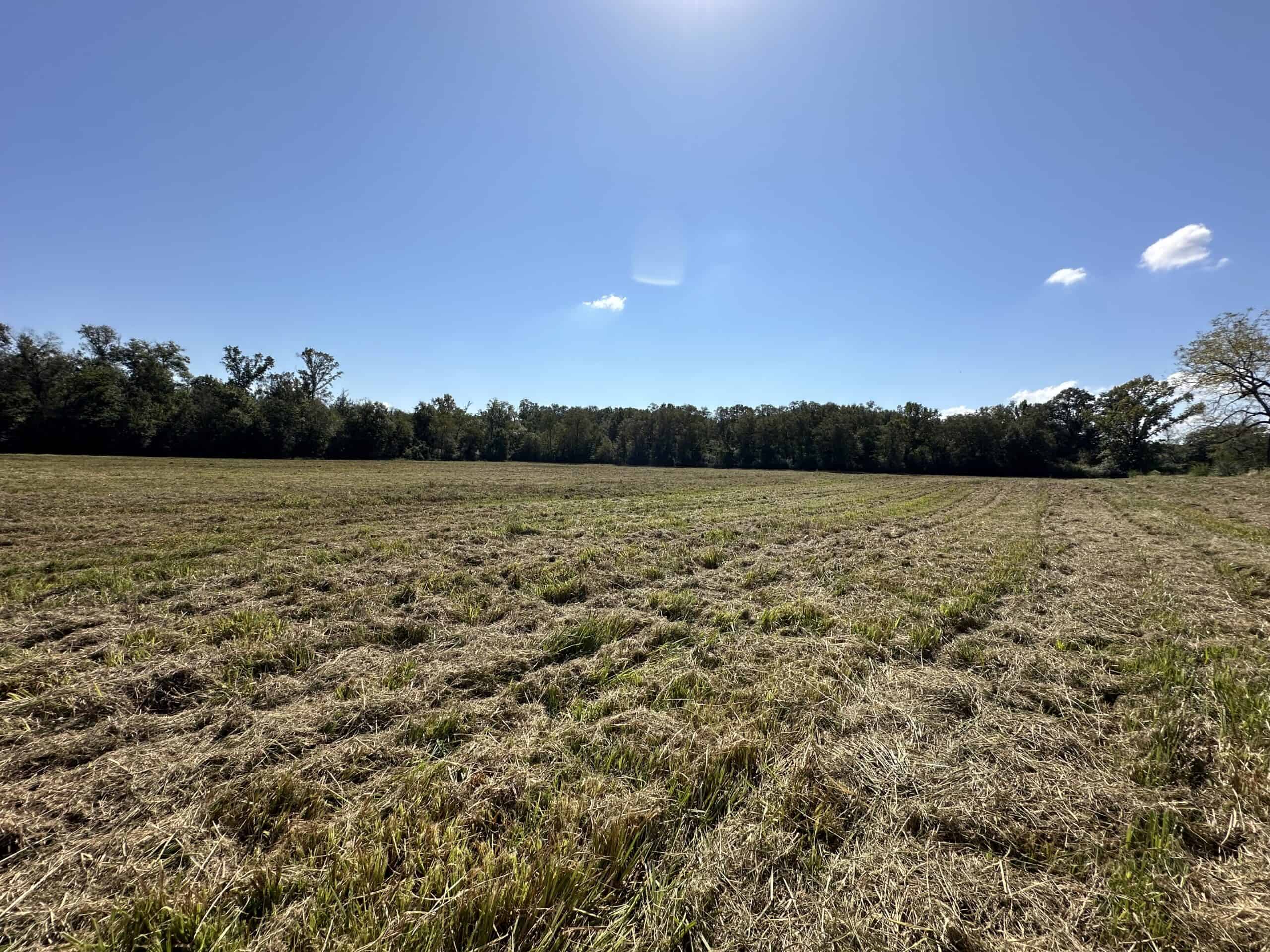 East Texas Ranch For Sale