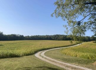 Beautiful Custom Built Brick Home w/ Walk-out Basement, Shop, Barn & 141 Acres (Cropland & Hunting Land) in 3 Tracts