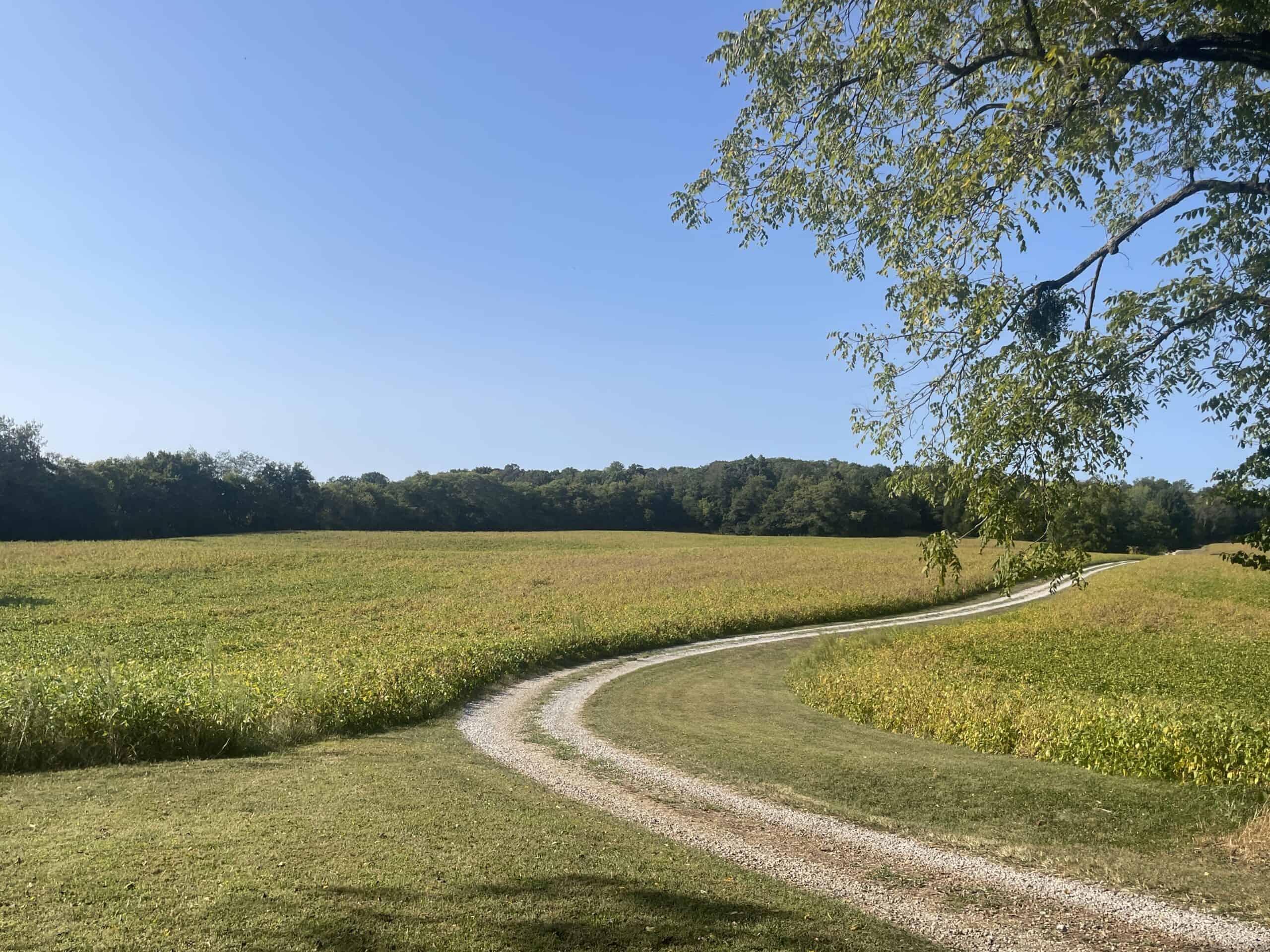 Beautiful Custom Built Brick Home w/ Walk-out Basement, Shop, Barn & 141 Acres (Cropland & Hunting Land) in 3 Tracts