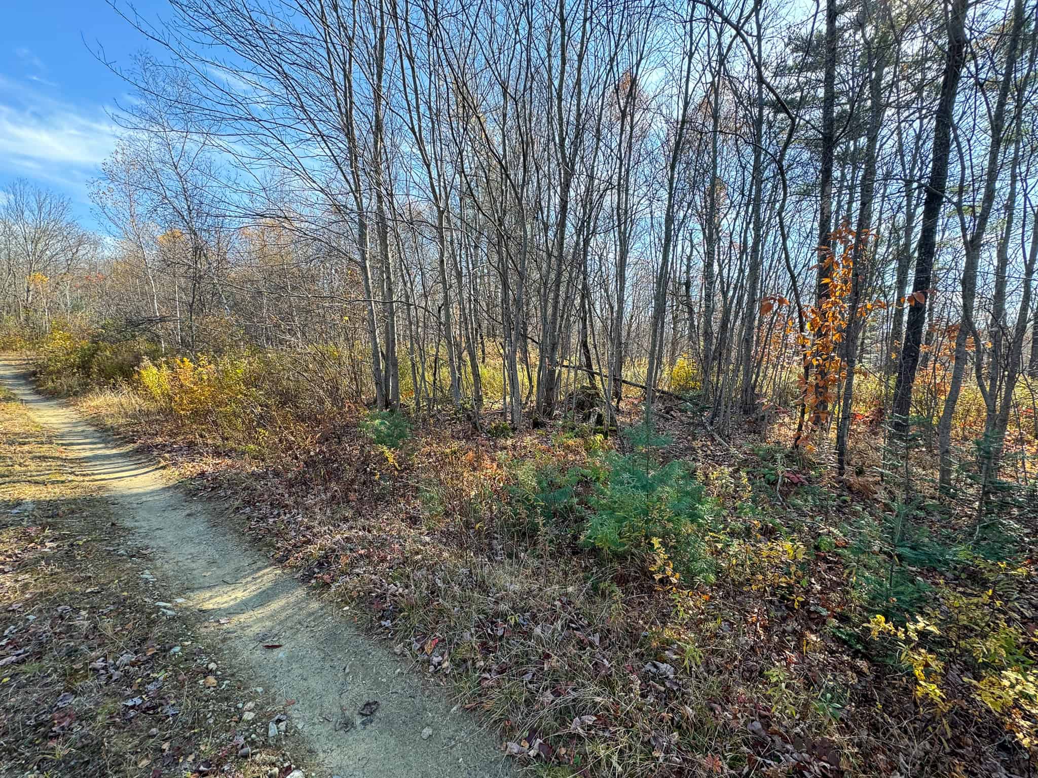 18 Acres with River Access in Carthage, Maine
