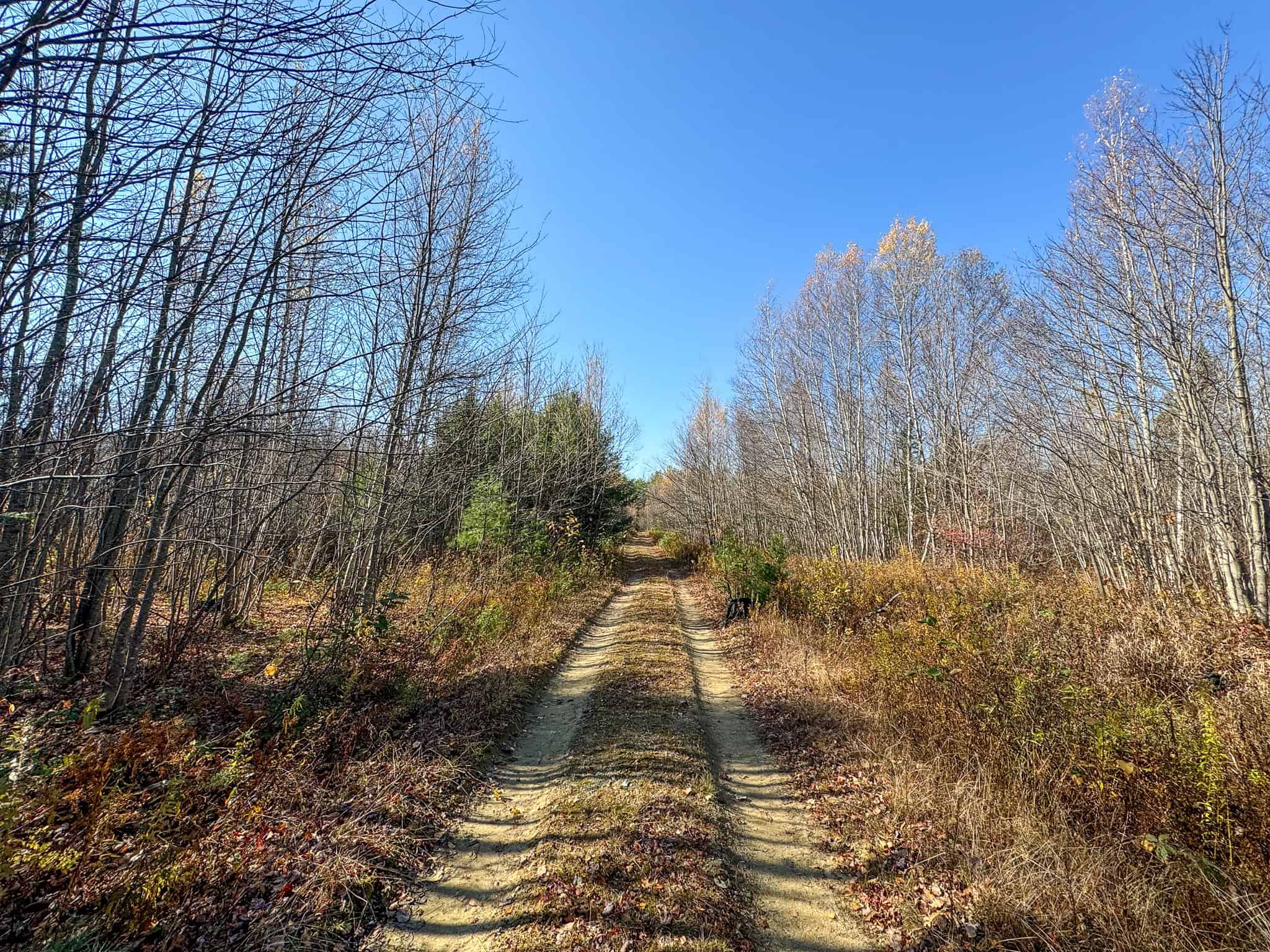 18 Acres with River Access in Carthage, Maine