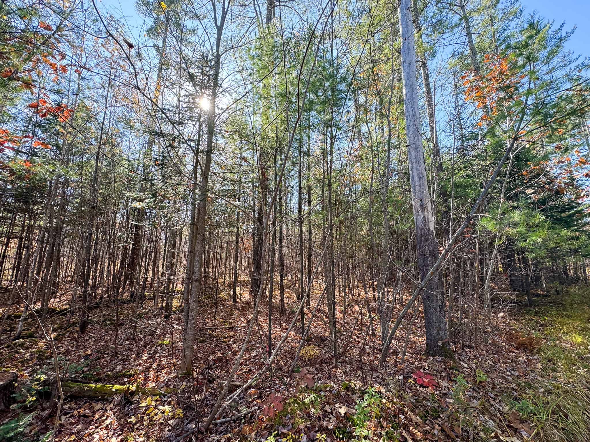 18 Acres with River Access in Carthage, Maine