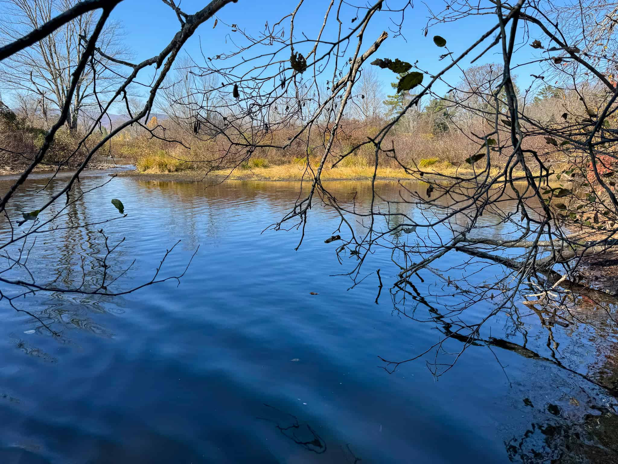 18 Acres with River Access in Carthage, Maine