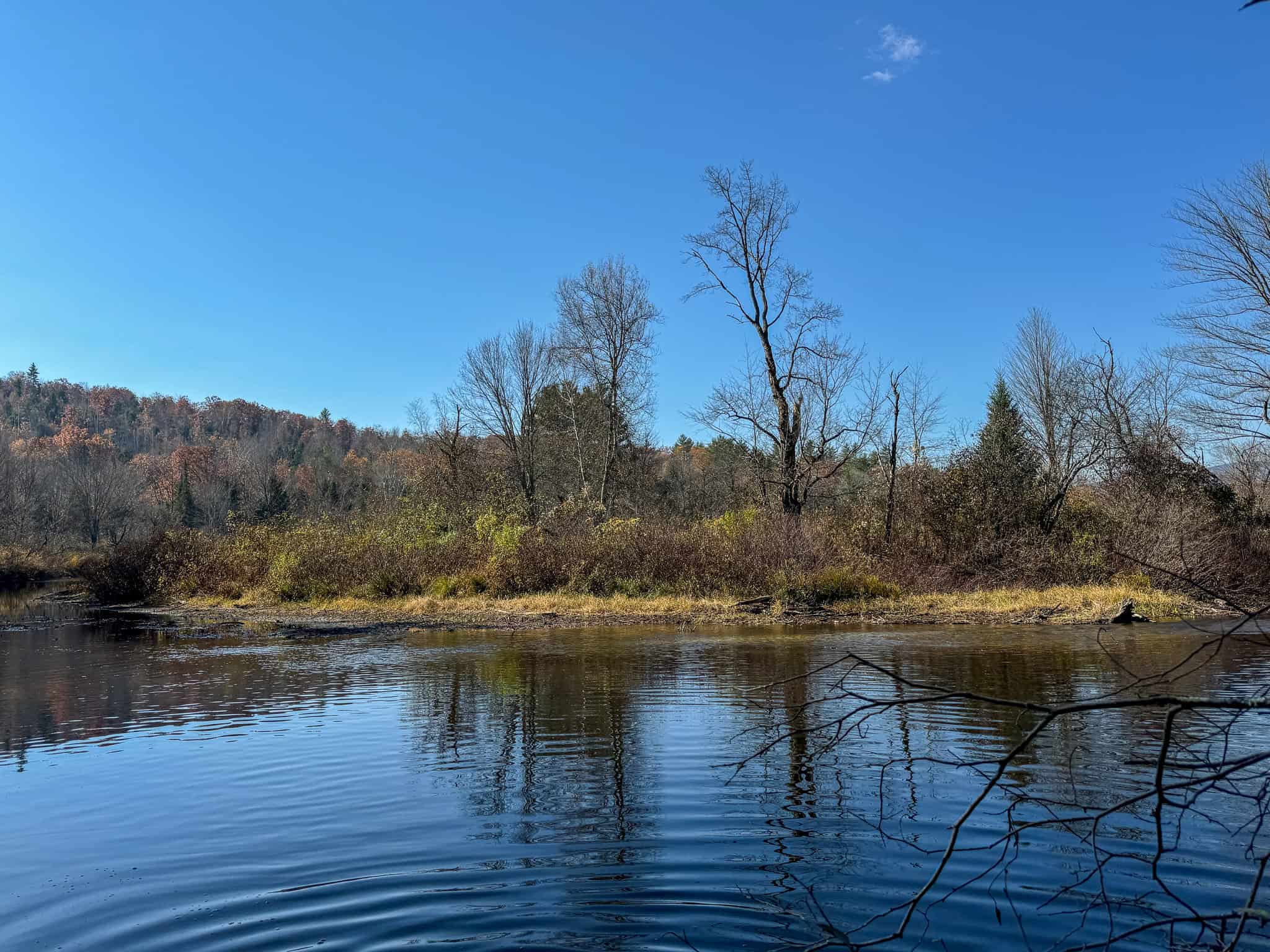 18 Acres with River Access in Carthage, Maine