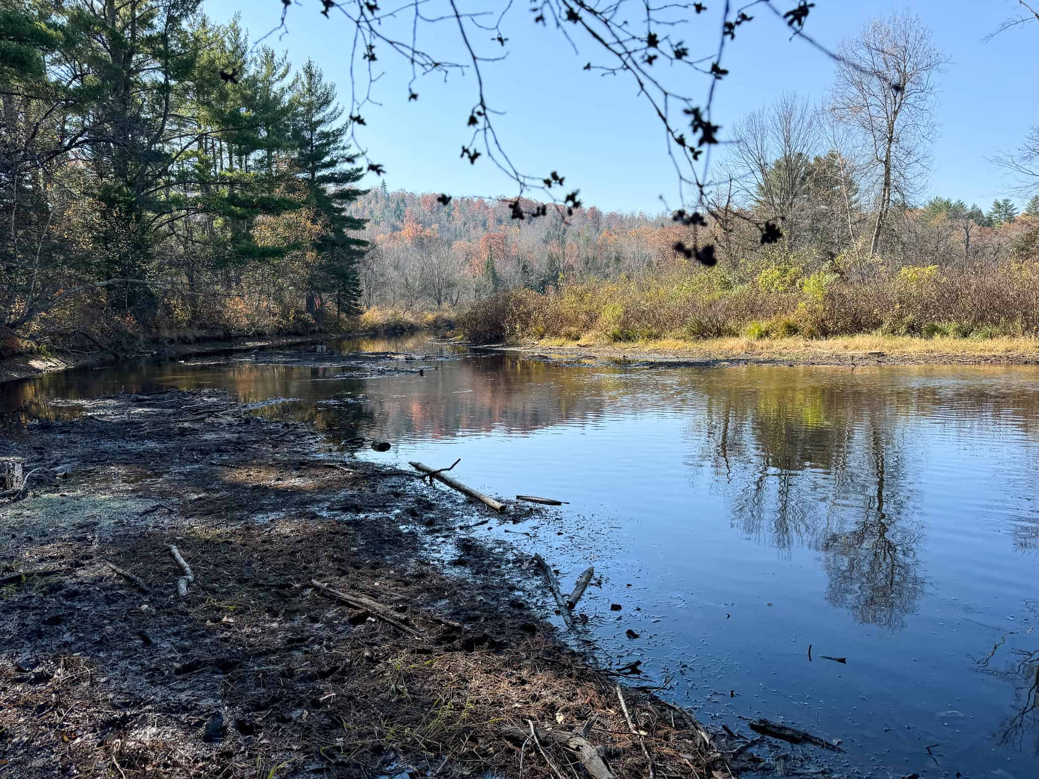 18 Acres with River Access in Carthage, Maine