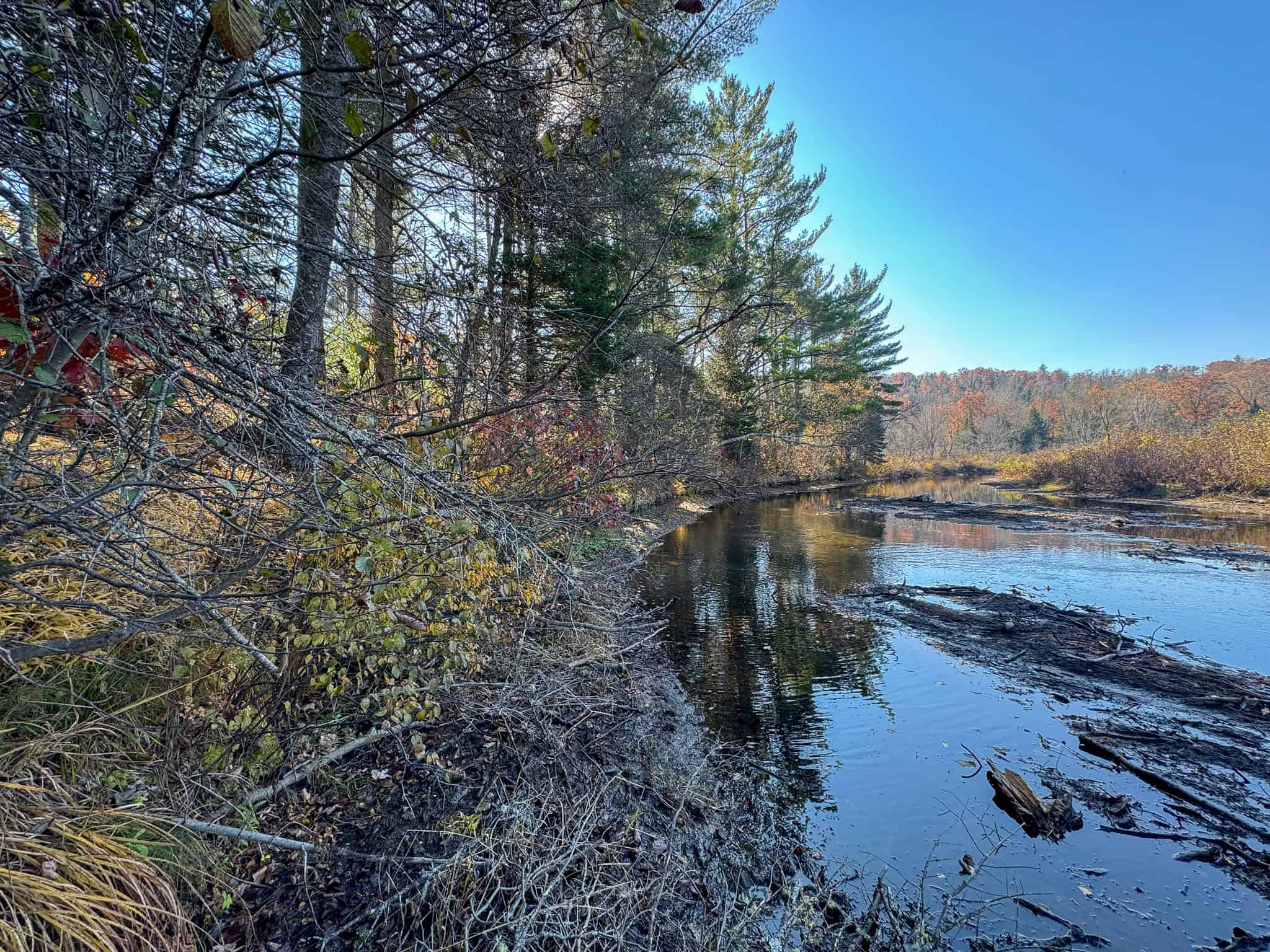 18 Acres with River Access in Carthage, Maine
