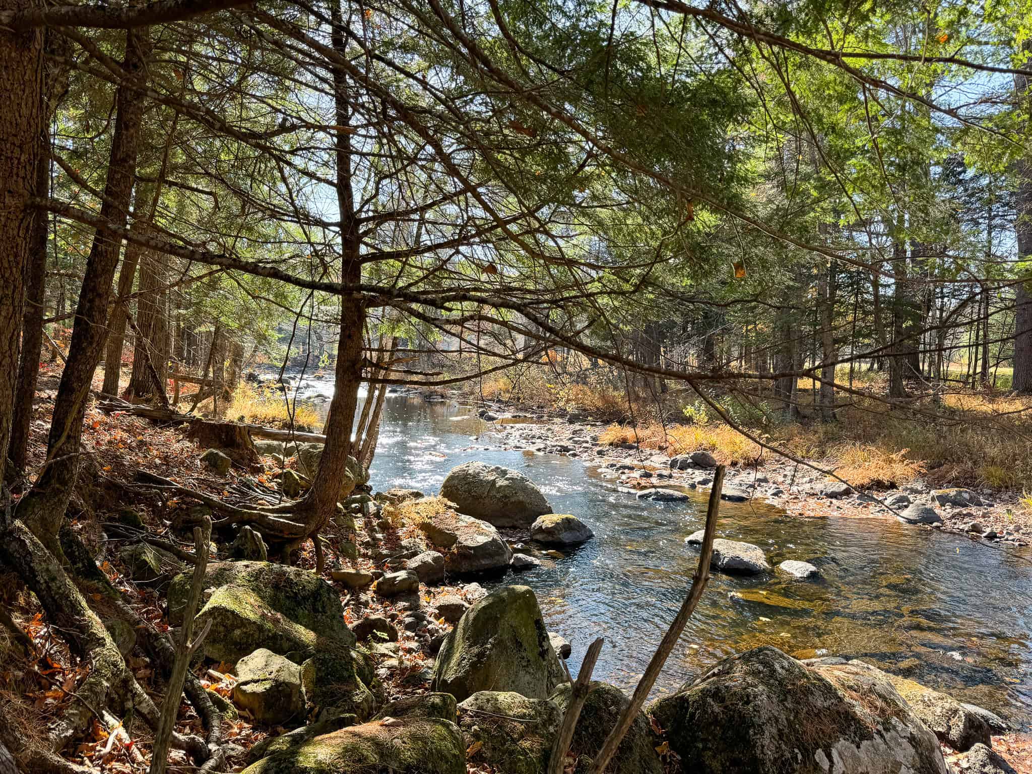 43 Acres Raw Land with River Access