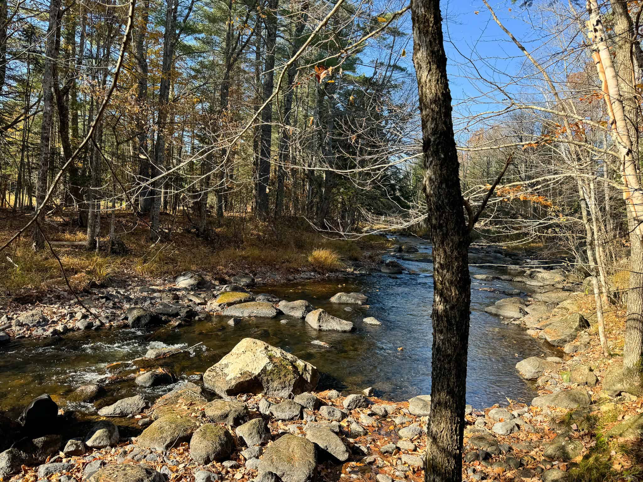 43 Acres Raw Land with River Access