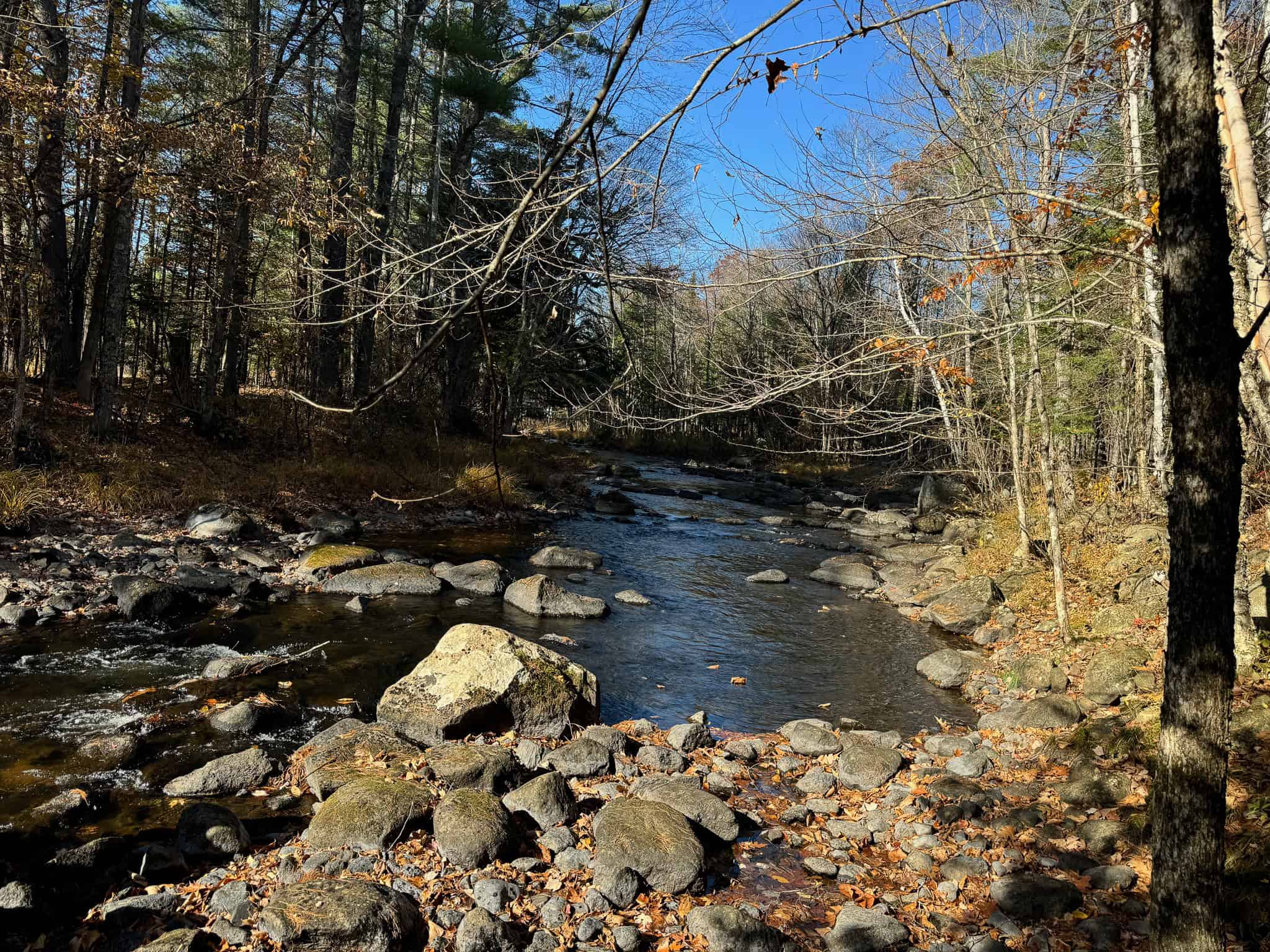 43 Acres Raw Land with River Access