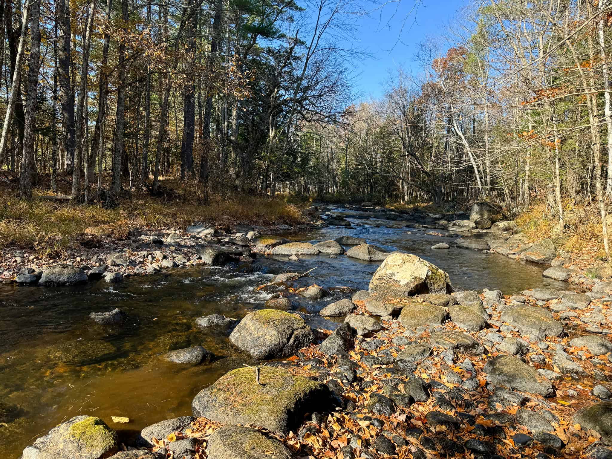 43 Acres Raw Land with River Access