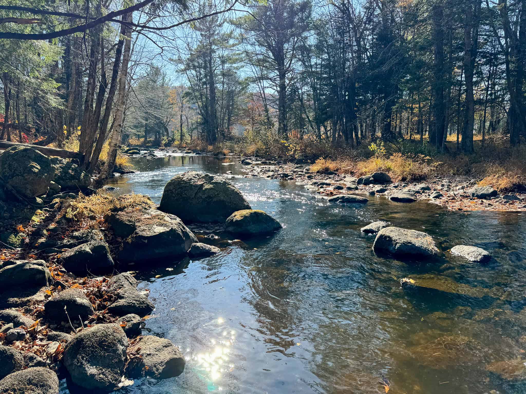 43 Acres Raw Land with River Access