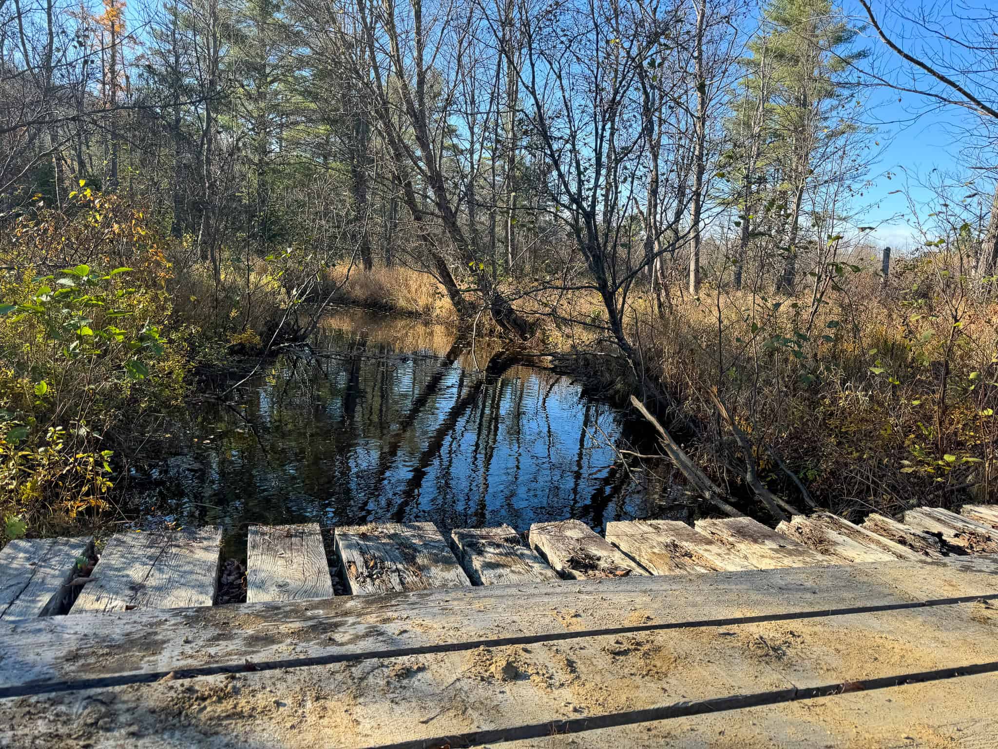 43 Acres Raw Land with River Access