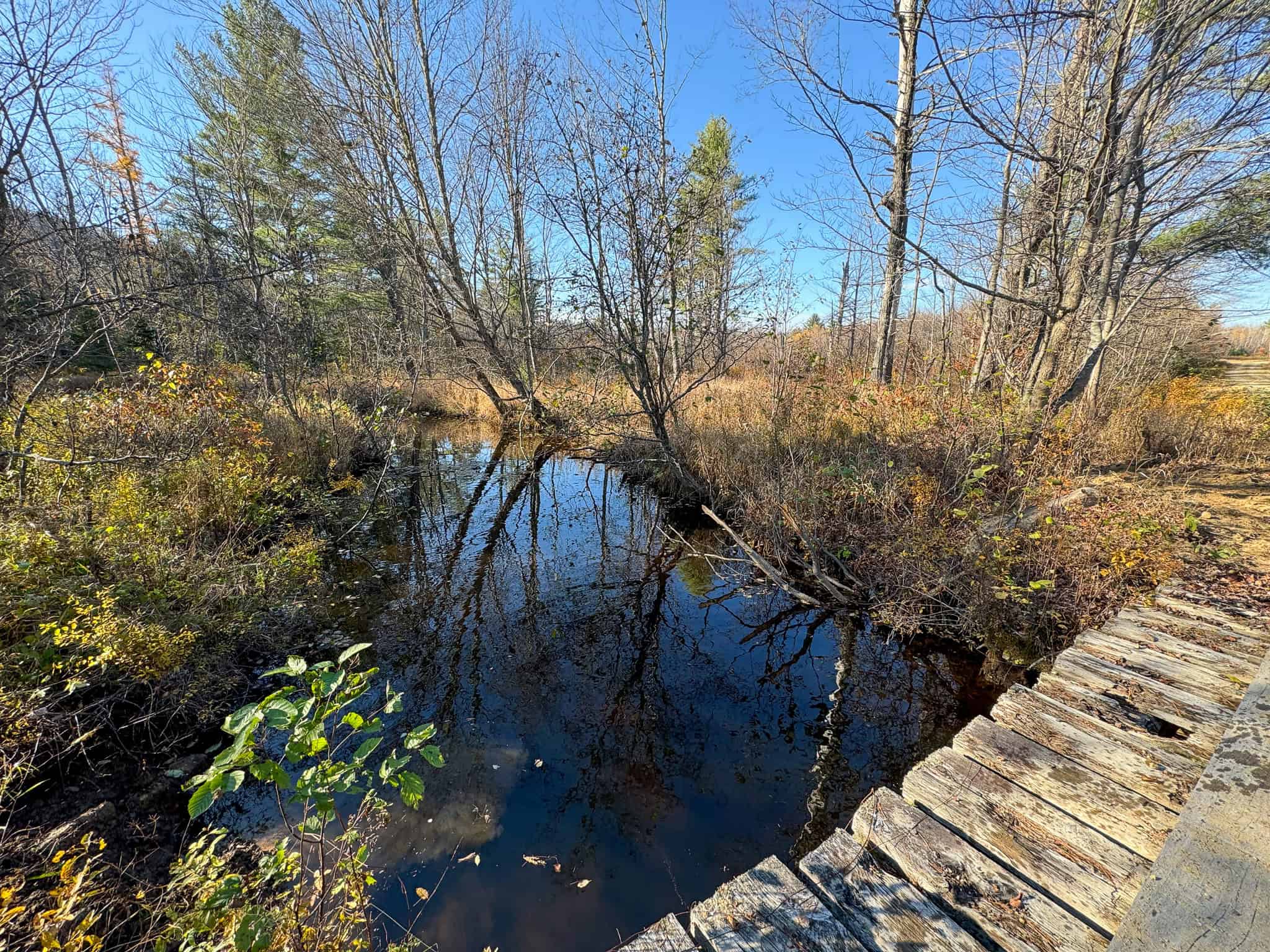 43 Acres Raw Land with River Access