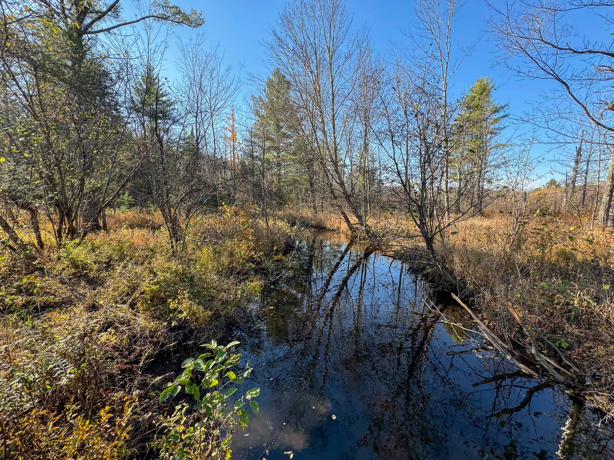 43 Acres Raw Land with River Access