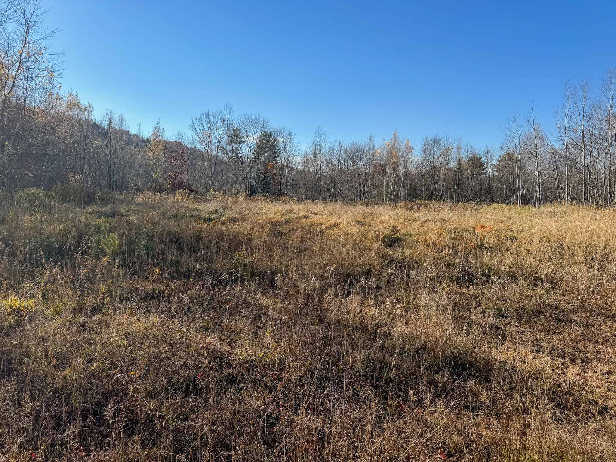 43 Acres Raw Land with River Access