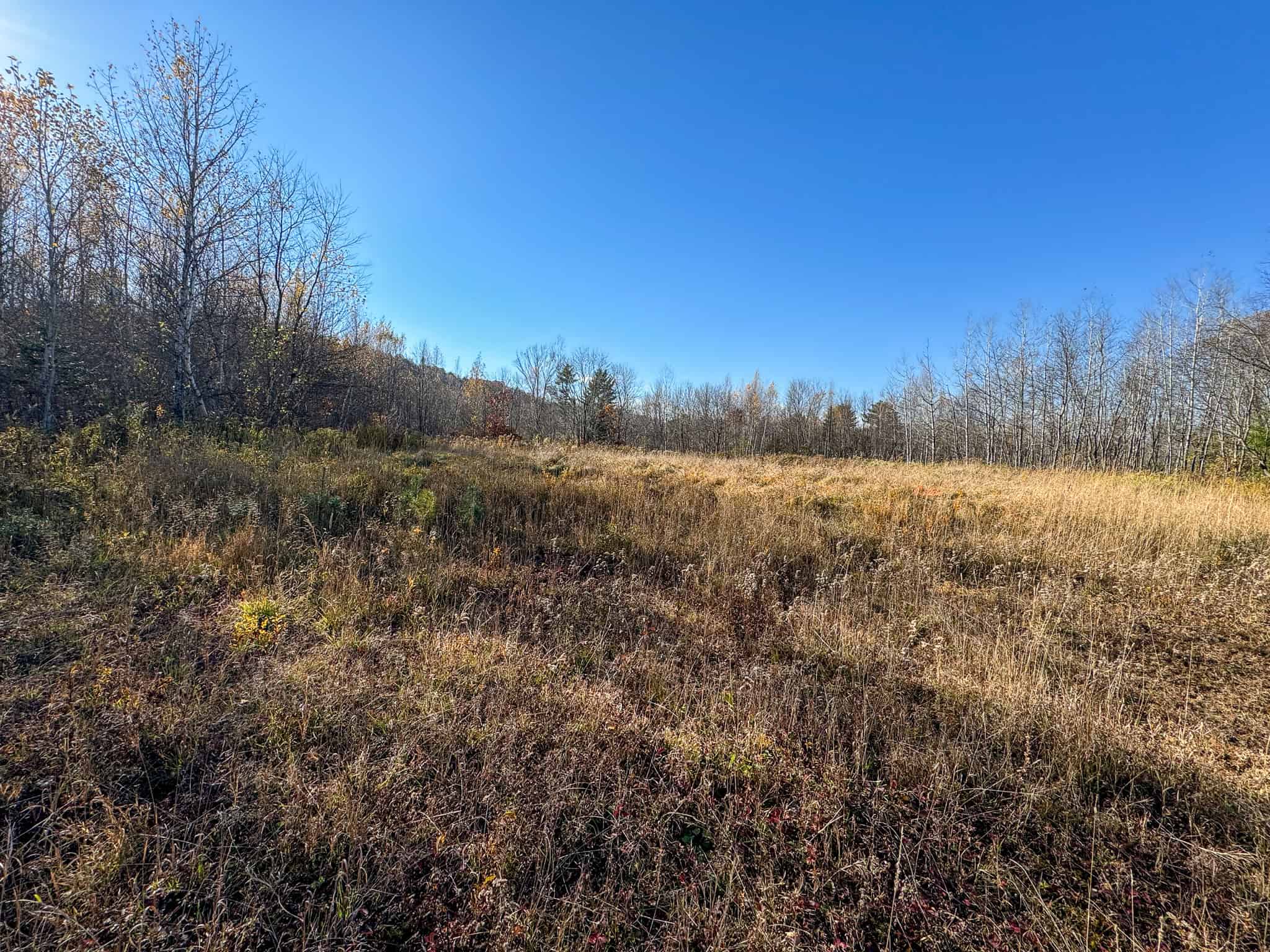 43 Acres Raw Land with River Access