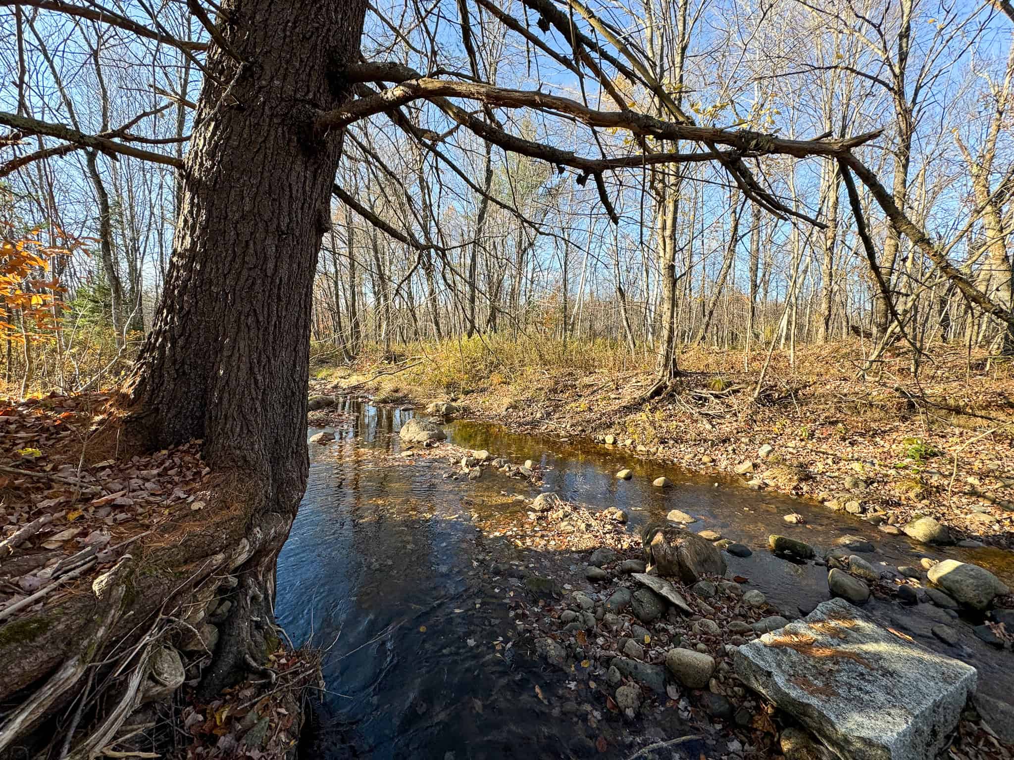 43 Acres Raw Land with River Access
