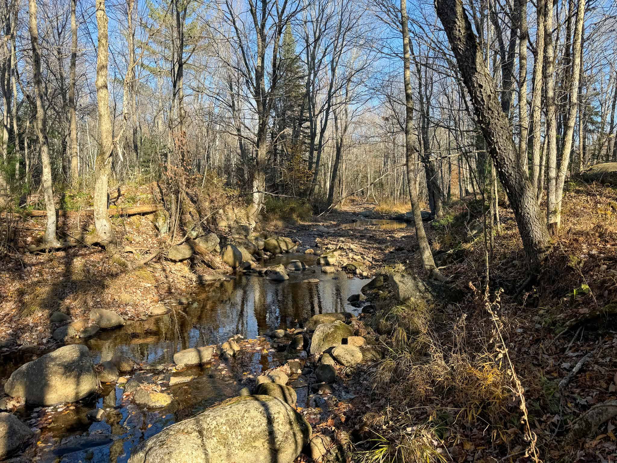 43 Acres Raw Land with River Access
