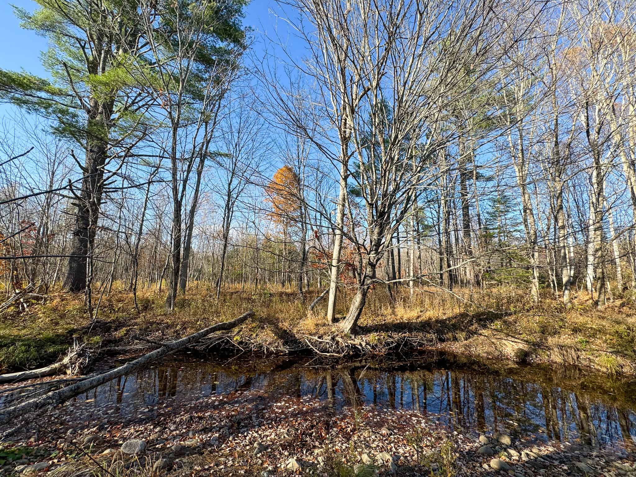 43 Acres Raw Land with River Access