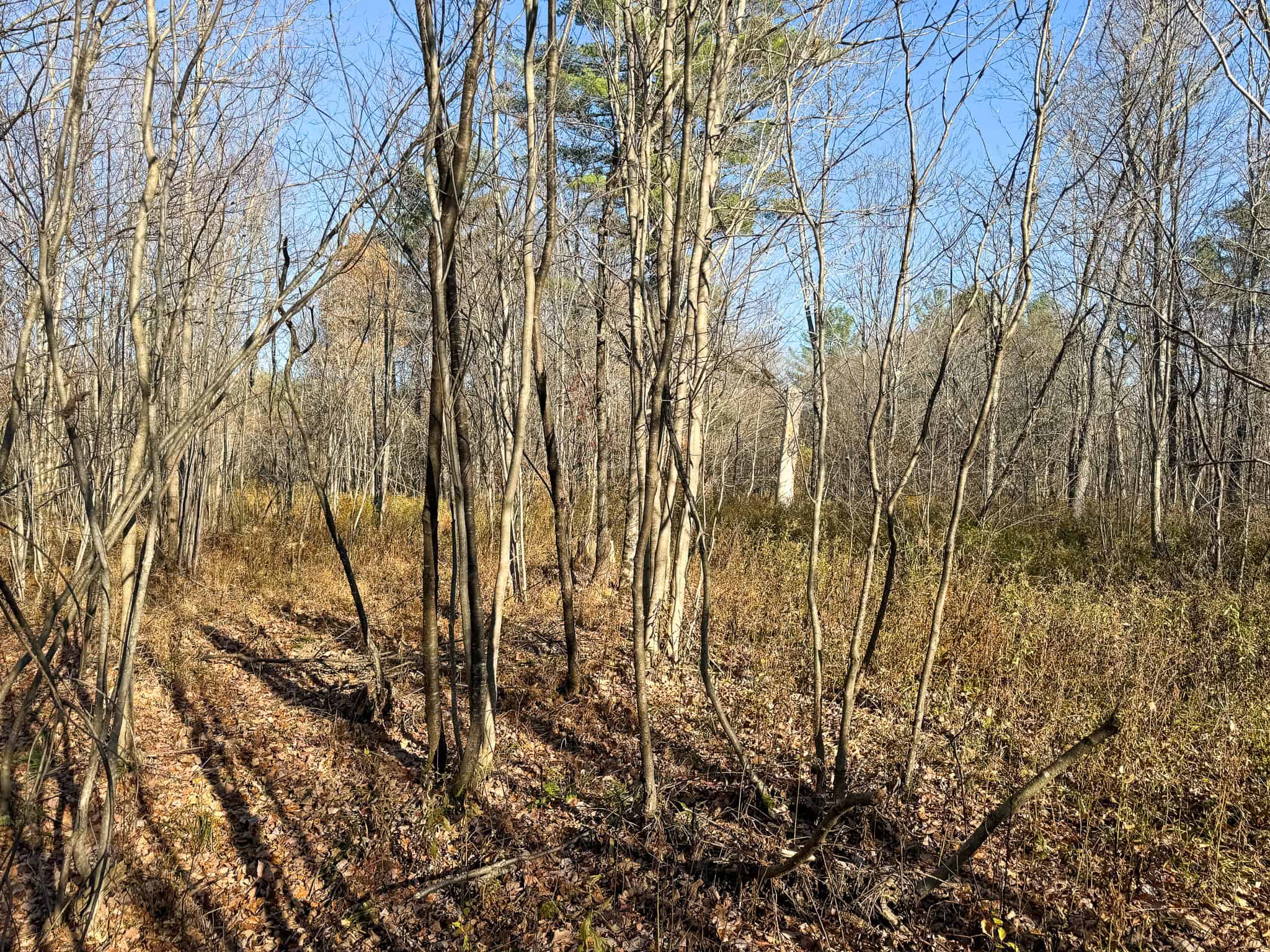 43 Acres Raw Land with River Access