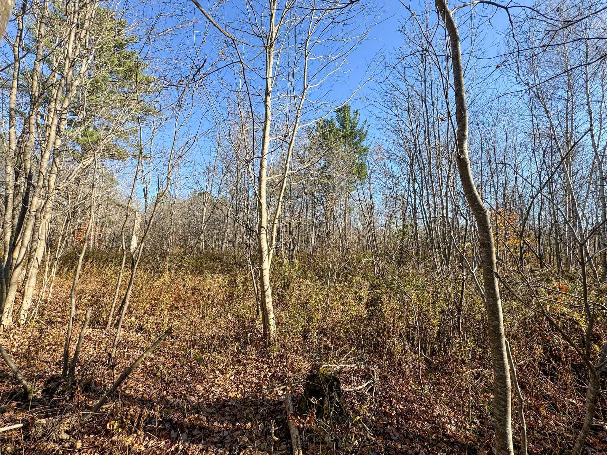 43 Acres Raw Land with River Access